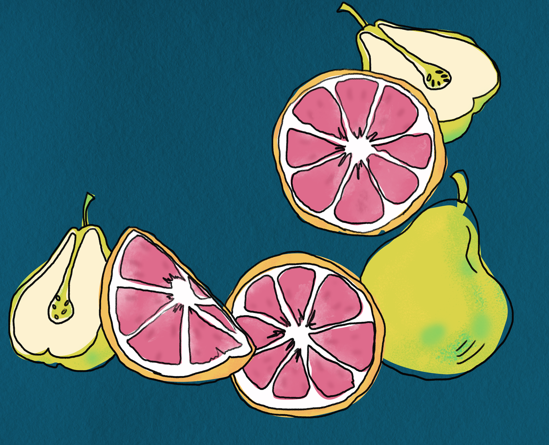 Pear Illustration