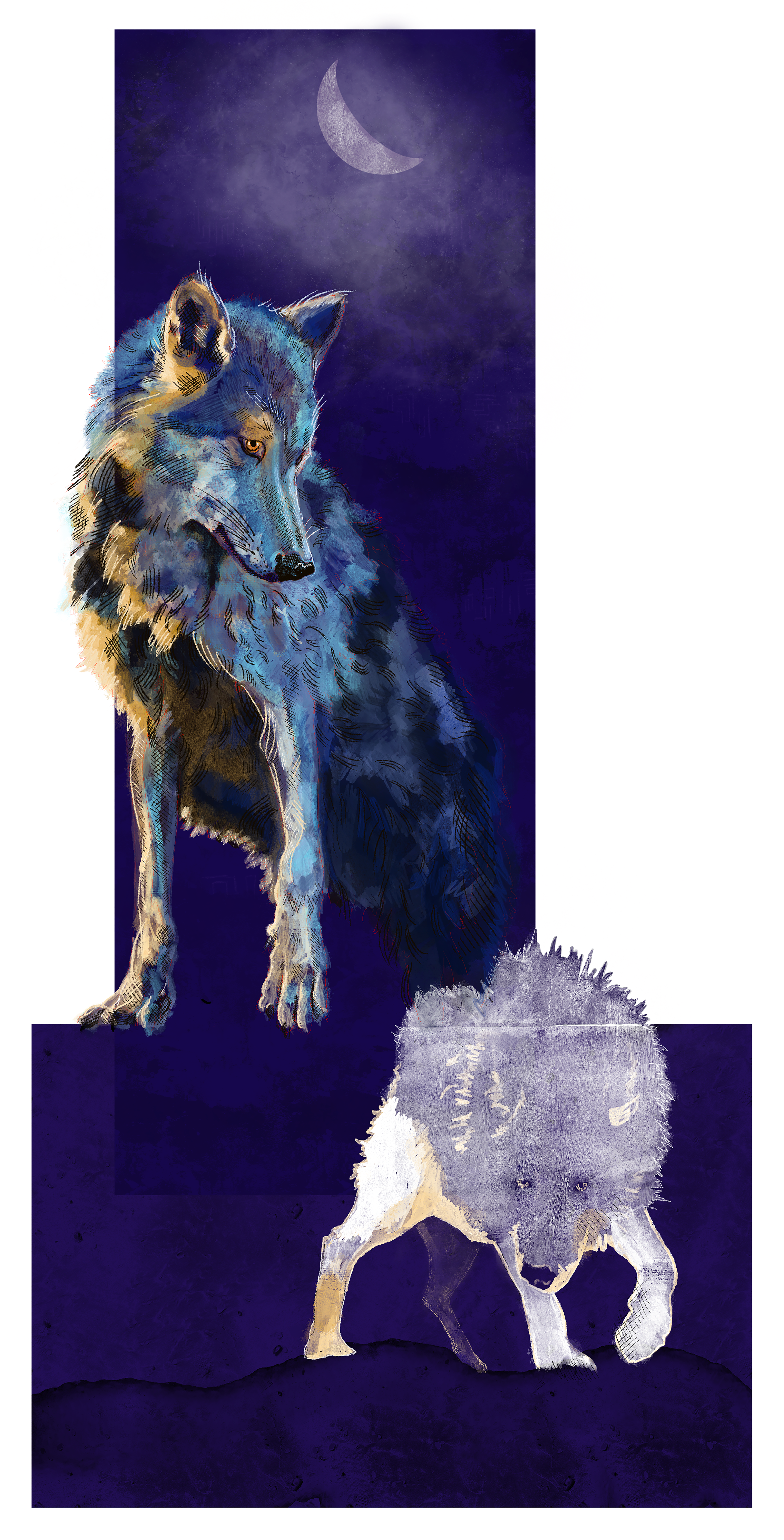 Wolf Illustration