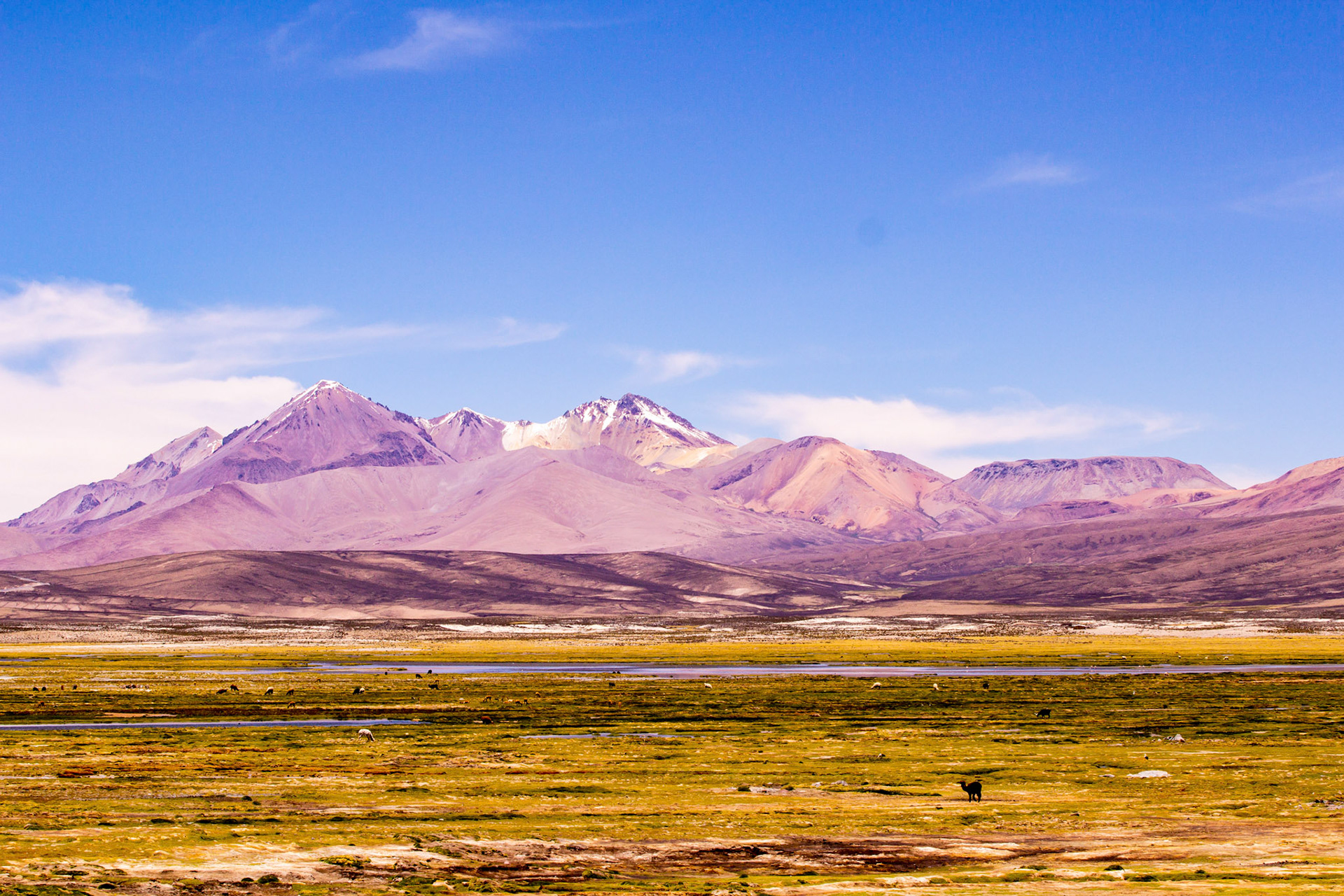 leandroalvarez.photography