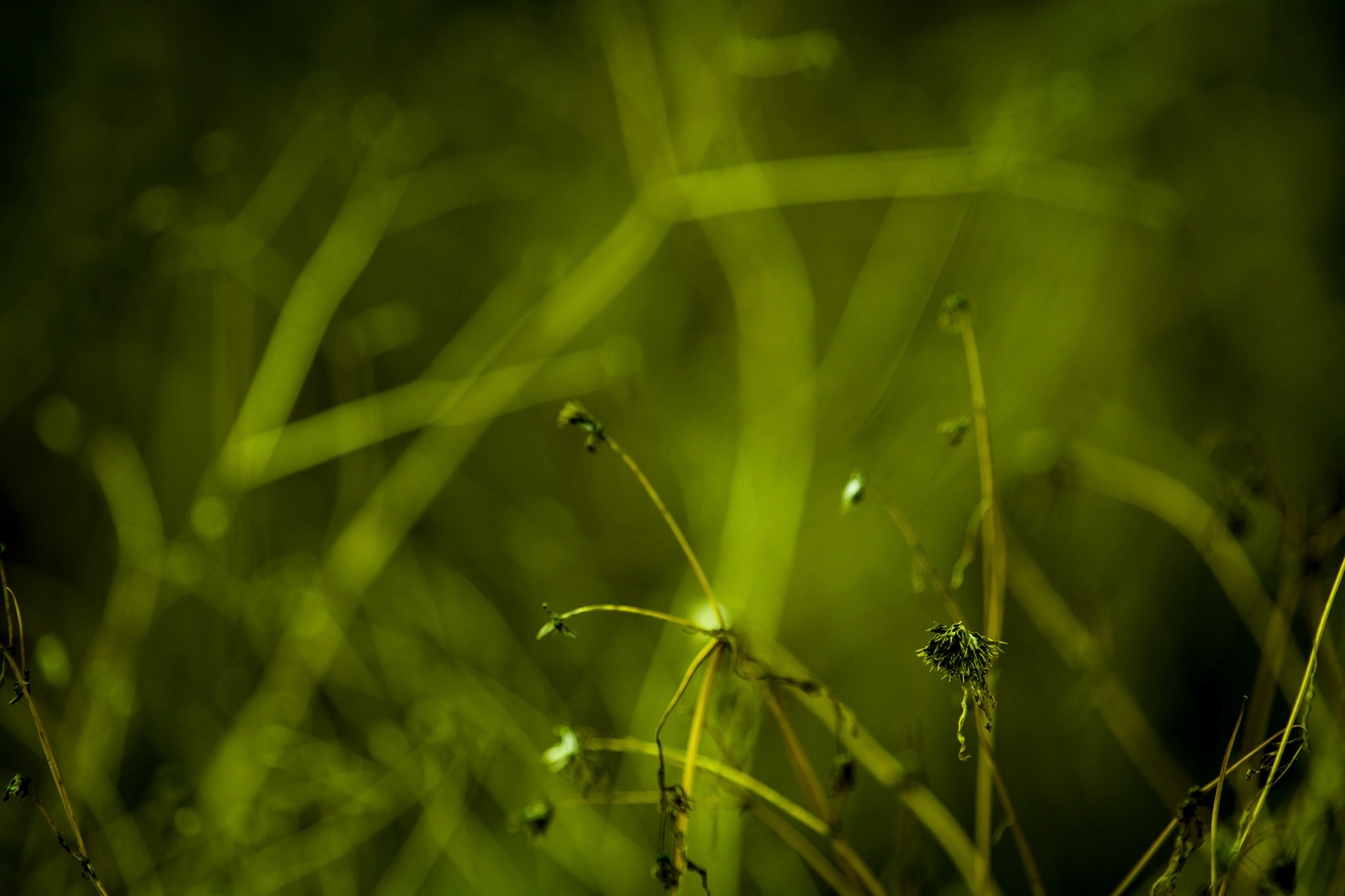 leandroalvarez.photography