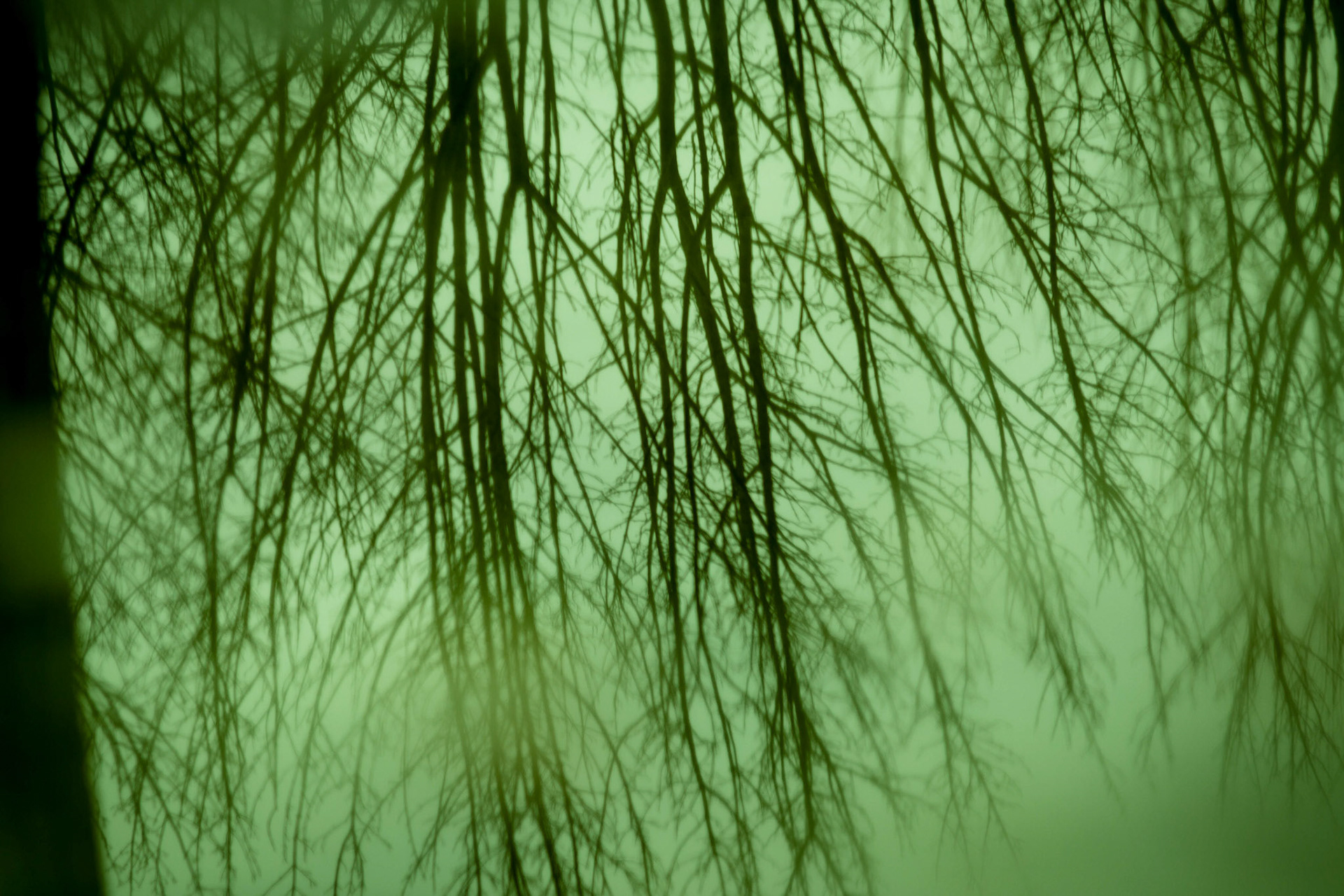 leandroalvarez.photography