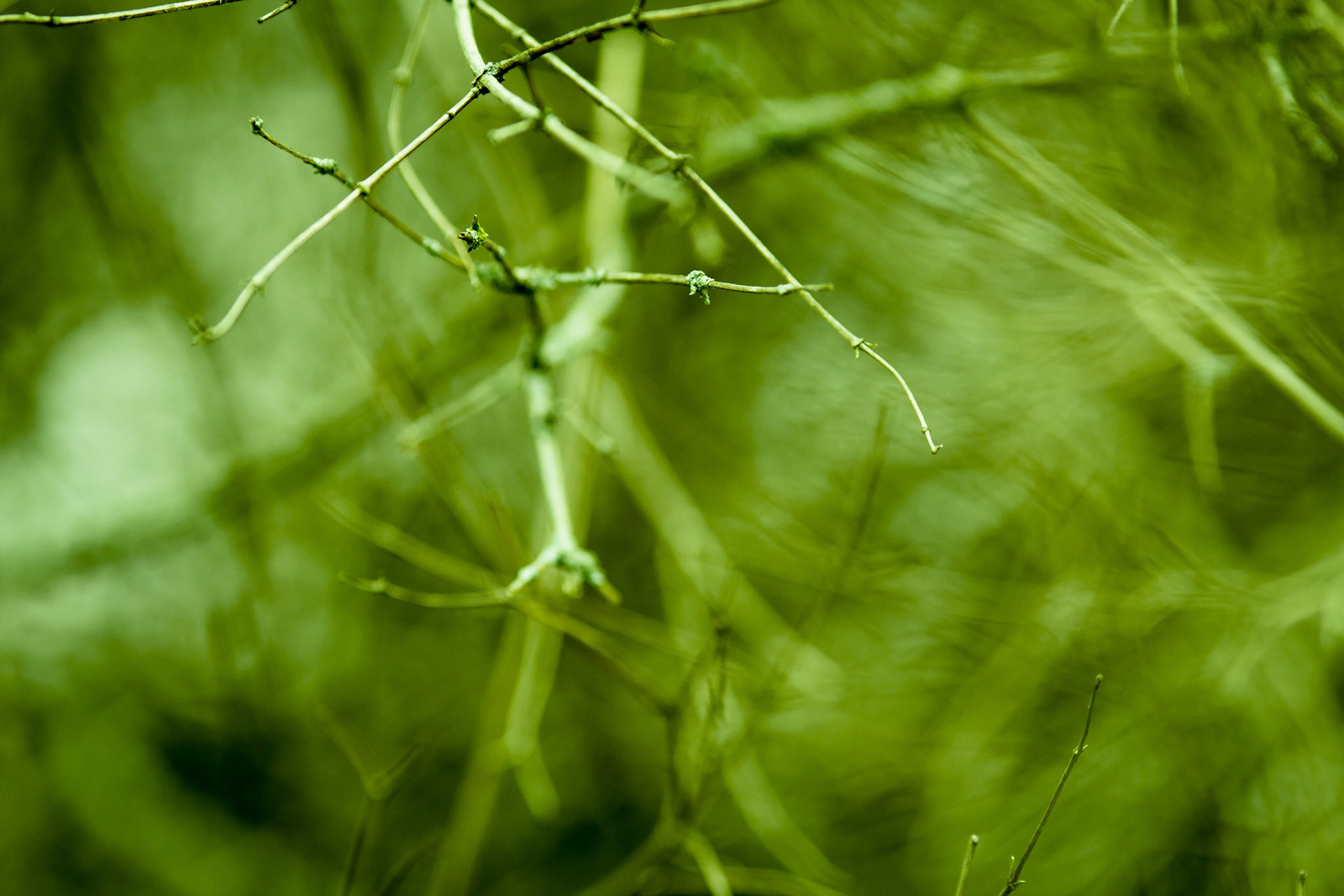 leandroalvarez.photography