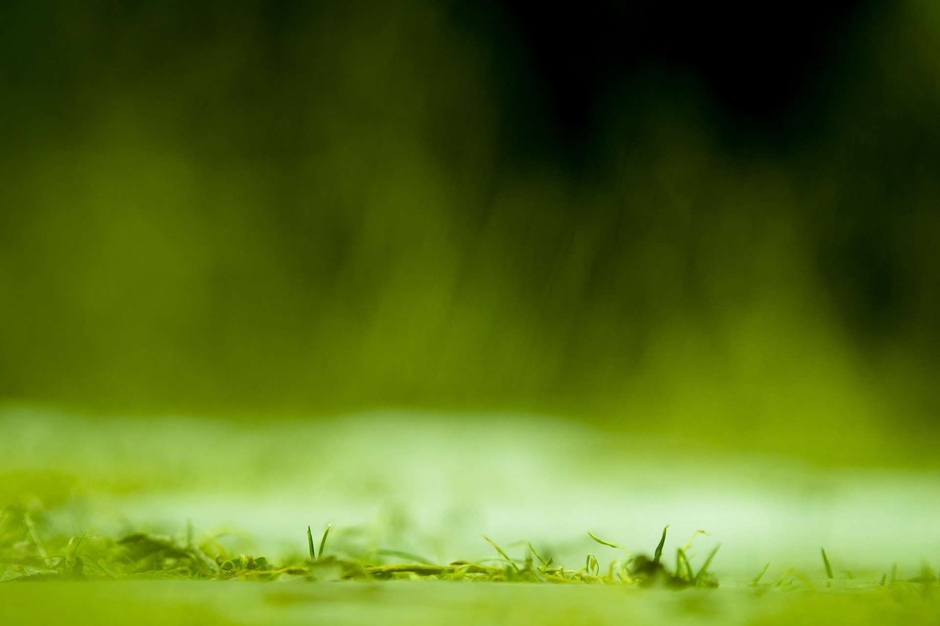 leandroalvarez.photography