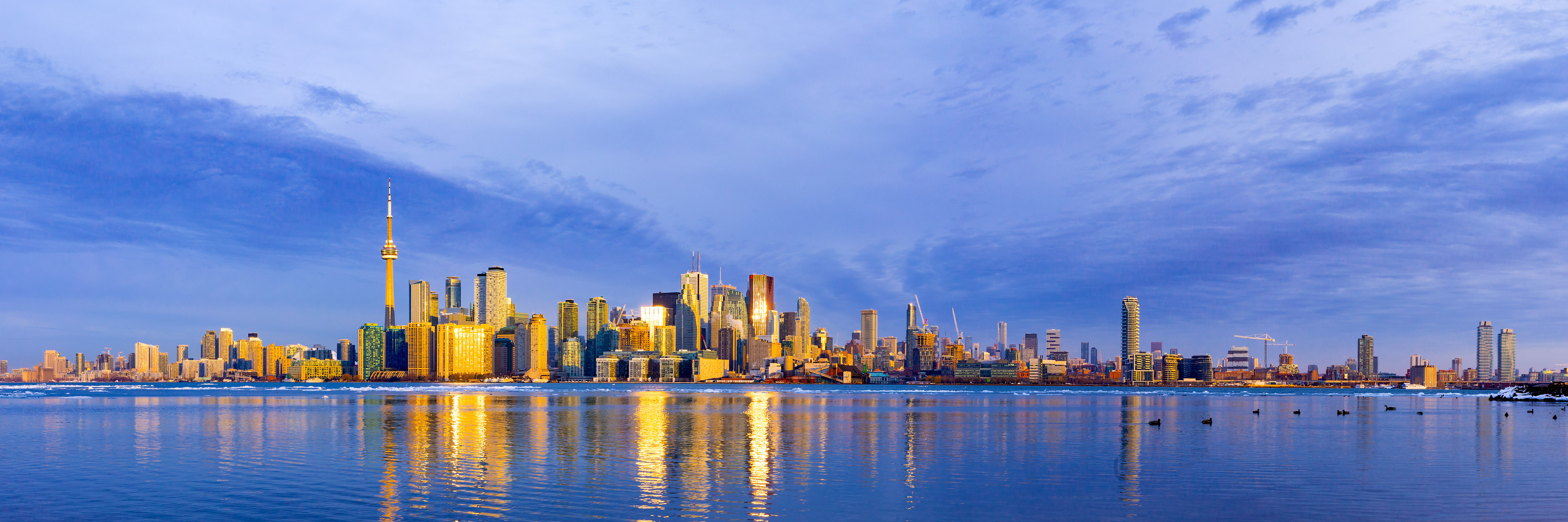 Gliclee print available