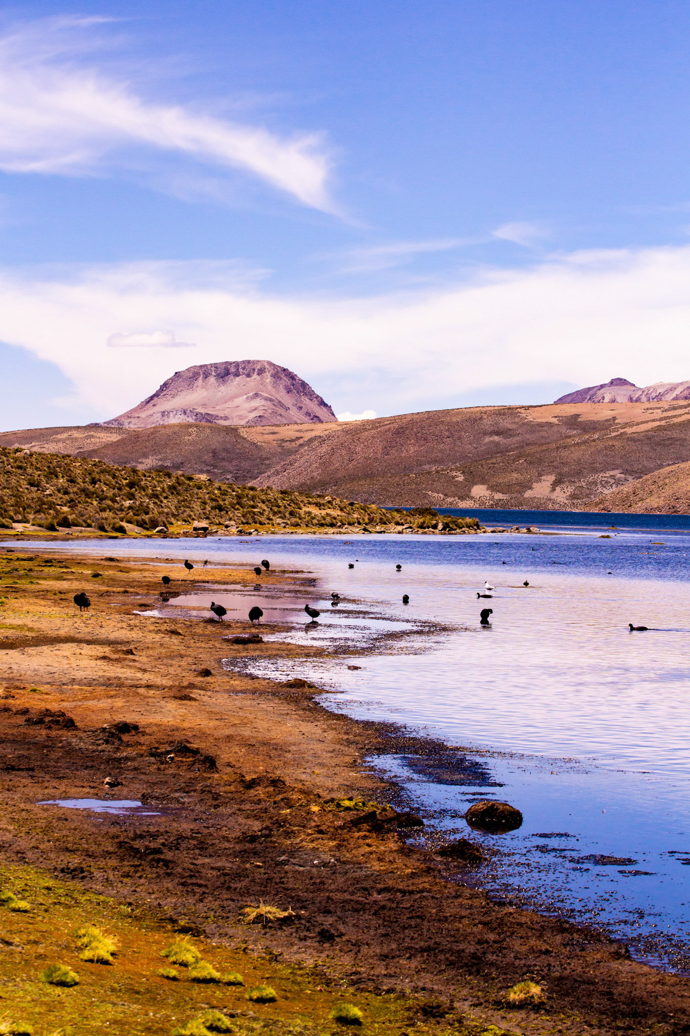 leandroalvarez.photography