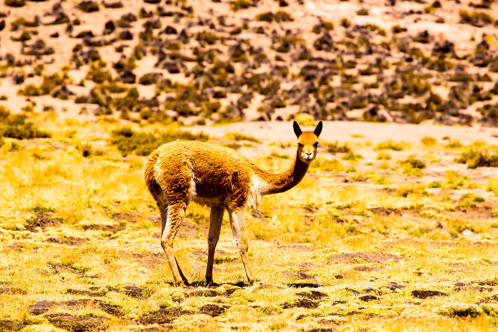 leandroalvarez.photography