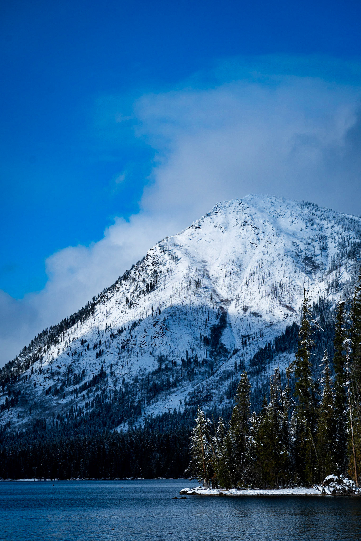 Lake Wenatchee Winter Wonderland