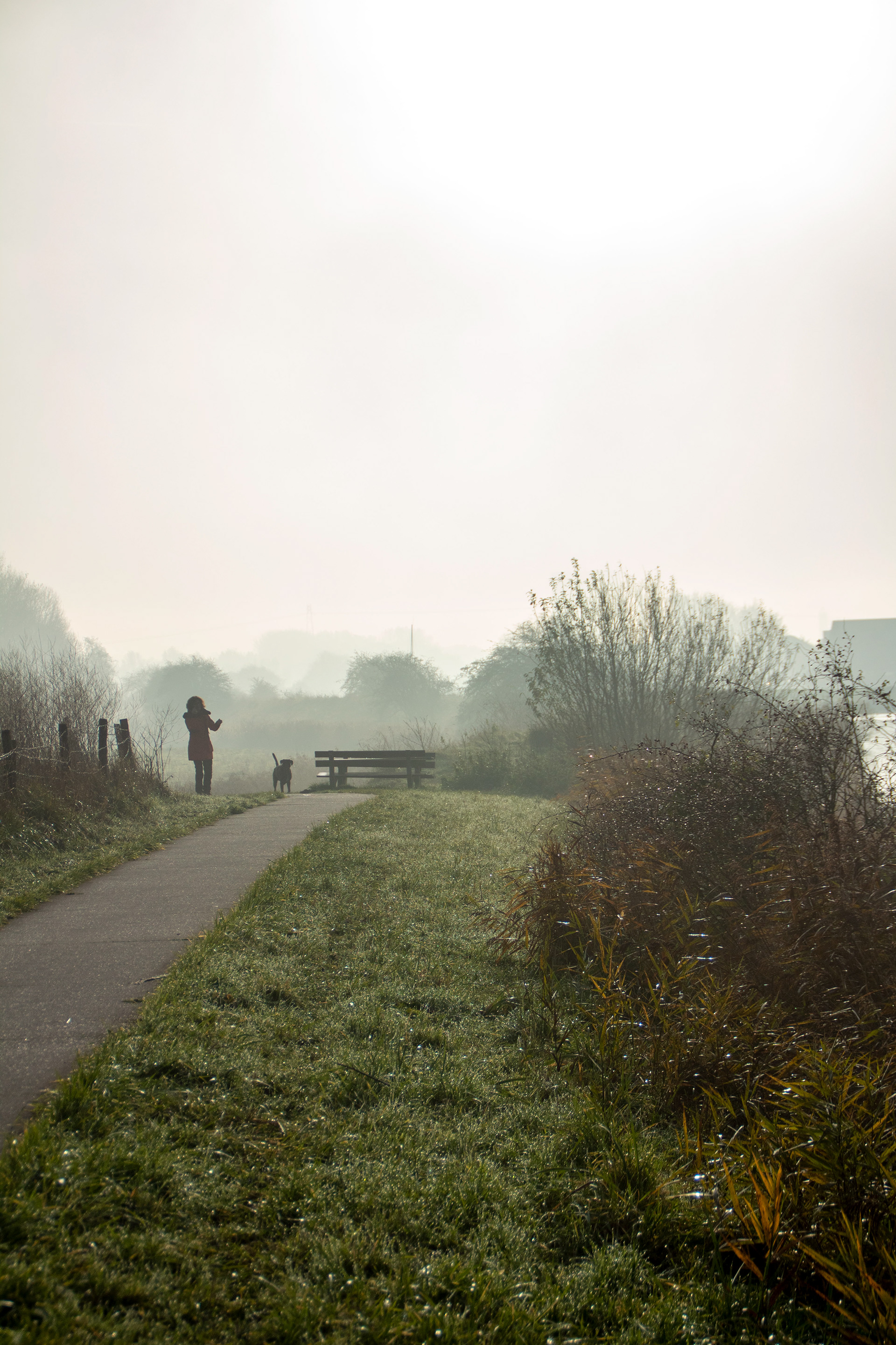 Groningen, Reitdiep