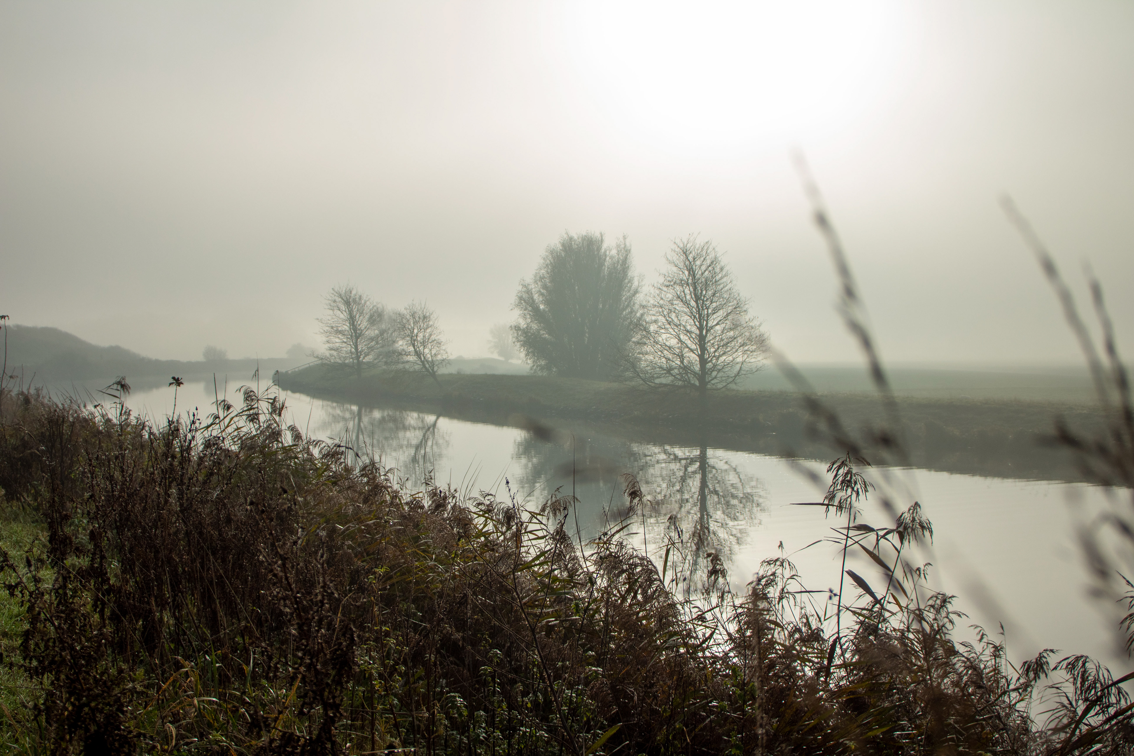 Groningen, Reitdiep