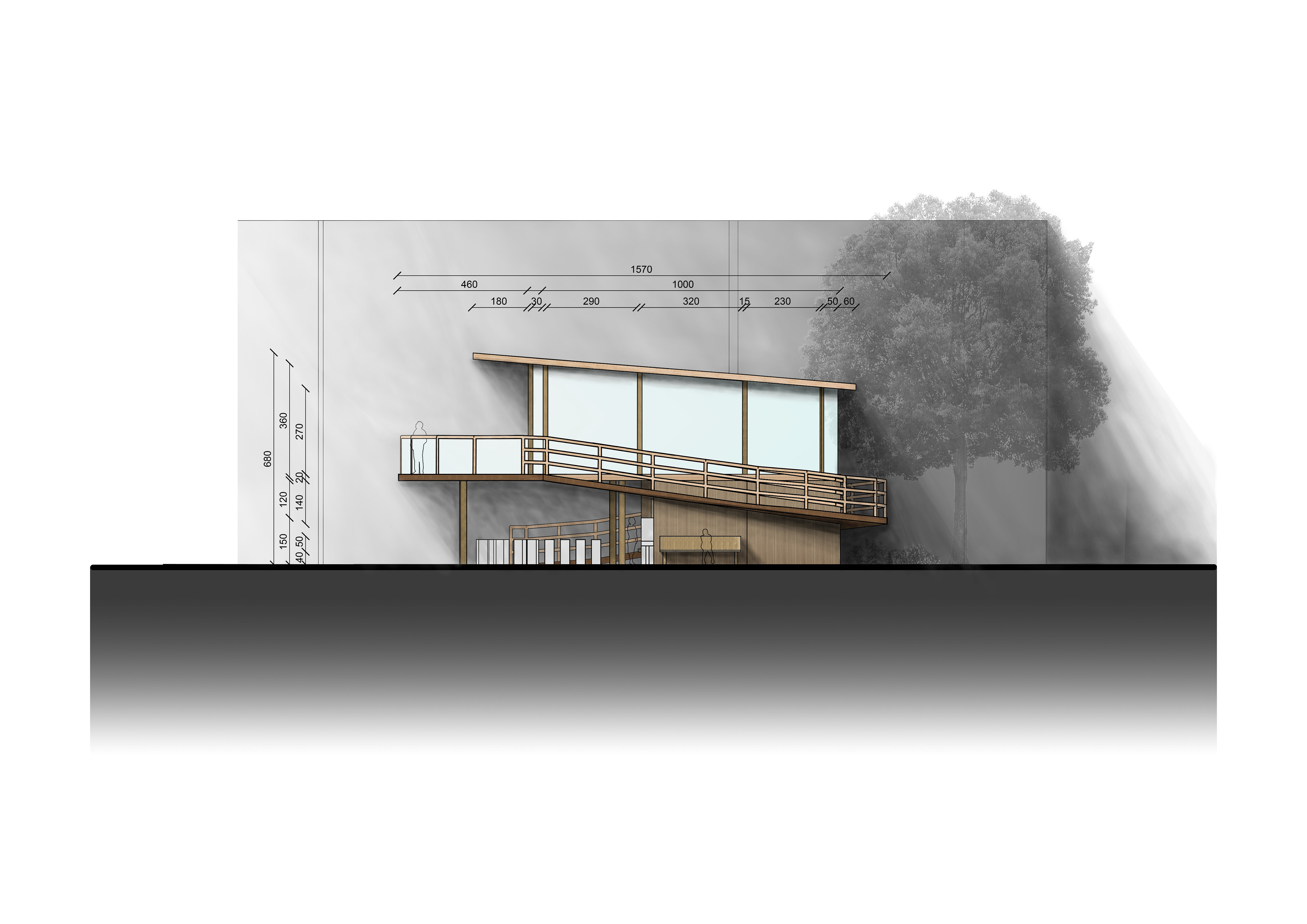 ELEVATION D