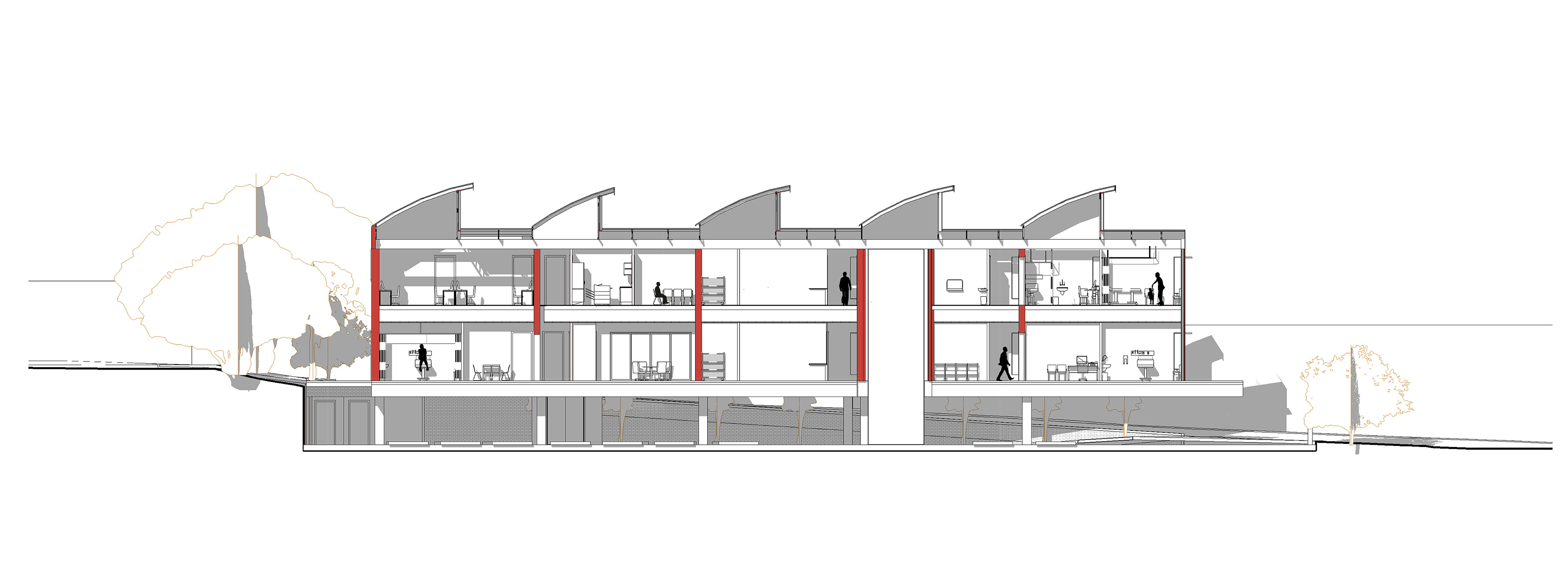 LONG SECTION