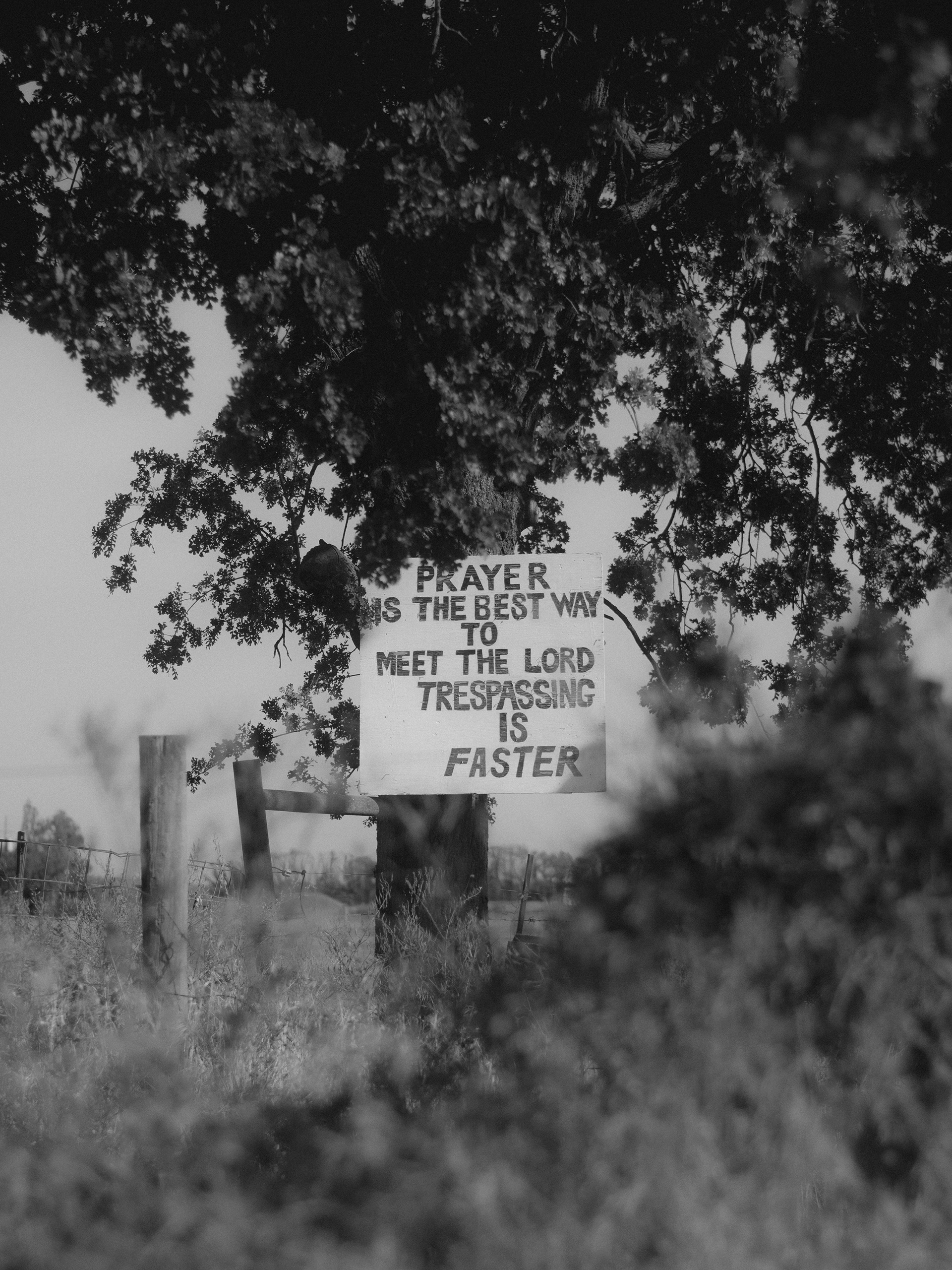 A sign nailed to a tree says "RAYER IS THE BEST WAY TO MEET THE LORD TRESPASSING IS FASTER