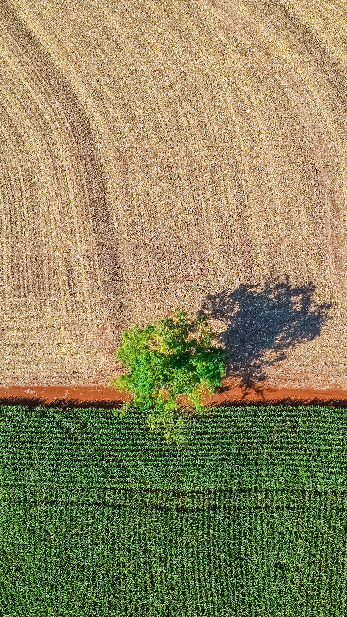 DCIM/101MEDIA/DJI_0039.JPG