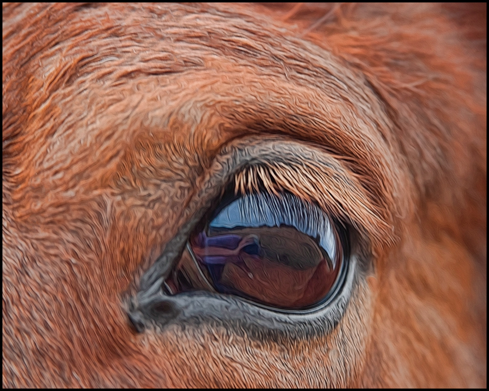 THERE ARE NO GOOD OR BAD PHOTOS ONLY RESULTS!