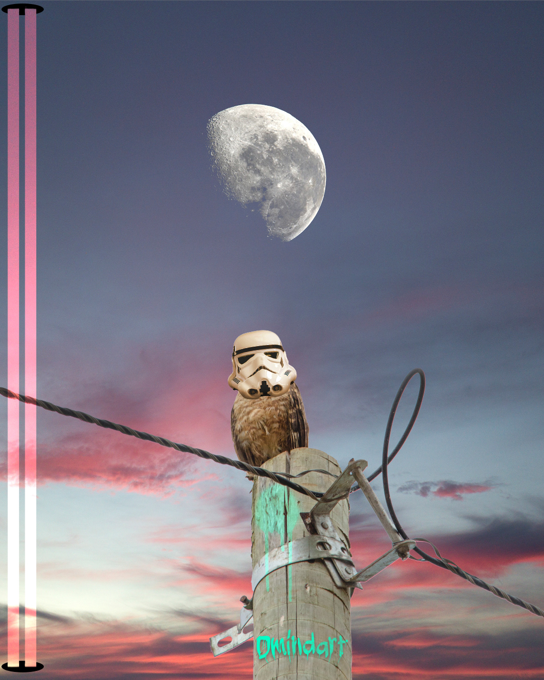 Coruja Trooper