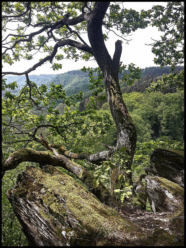 Caaner Schweiz - Westerwald