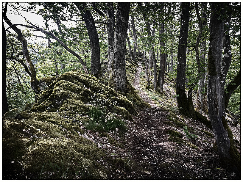 Caaner Schweiz - Westerwald