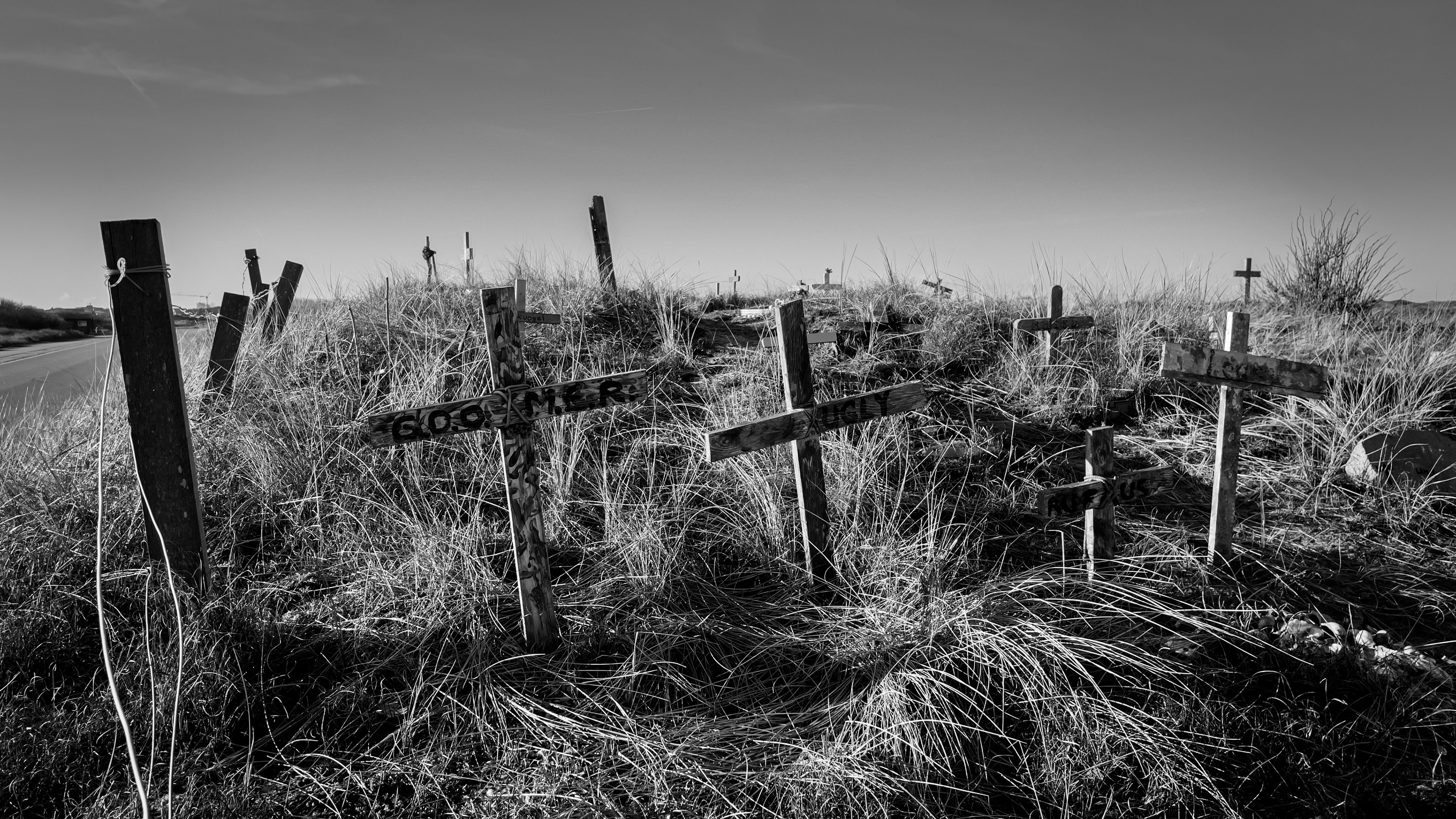 Tierfriedhof auf Norderney