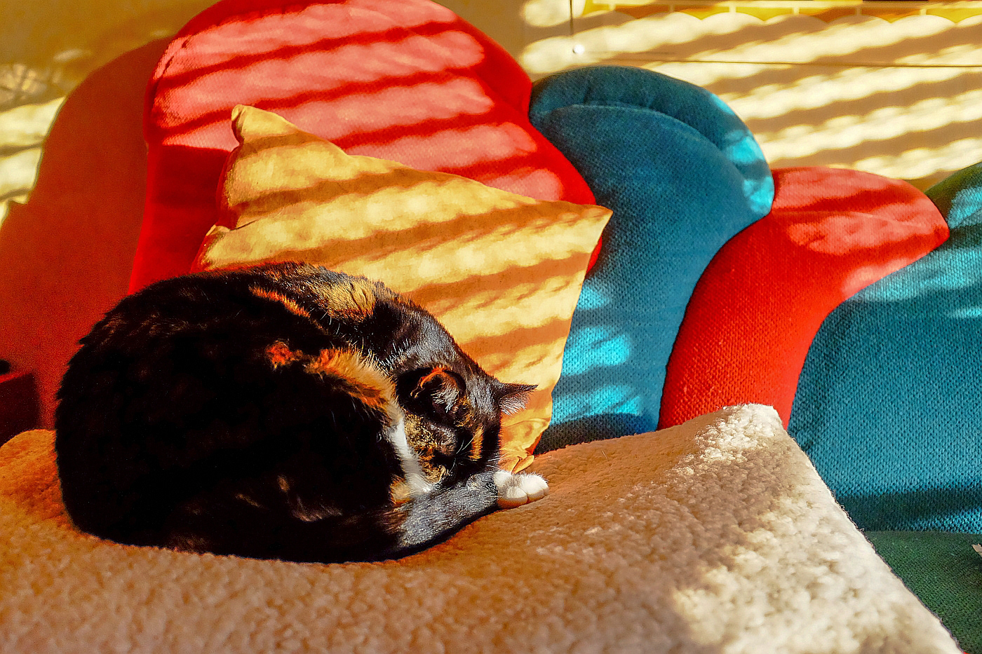 Charlie zwischen Formen, Farben & Licht