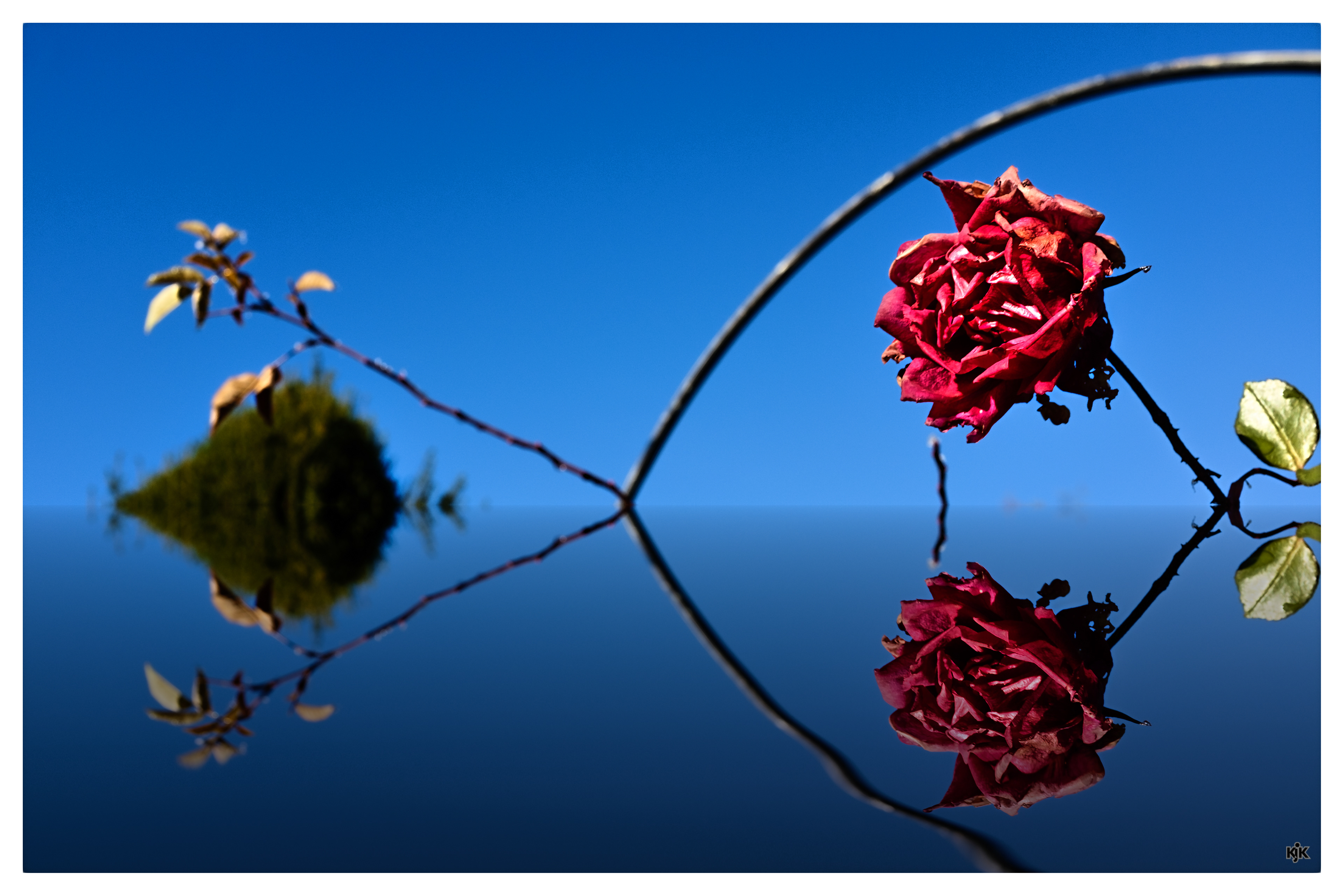 Künstliche Schönheit