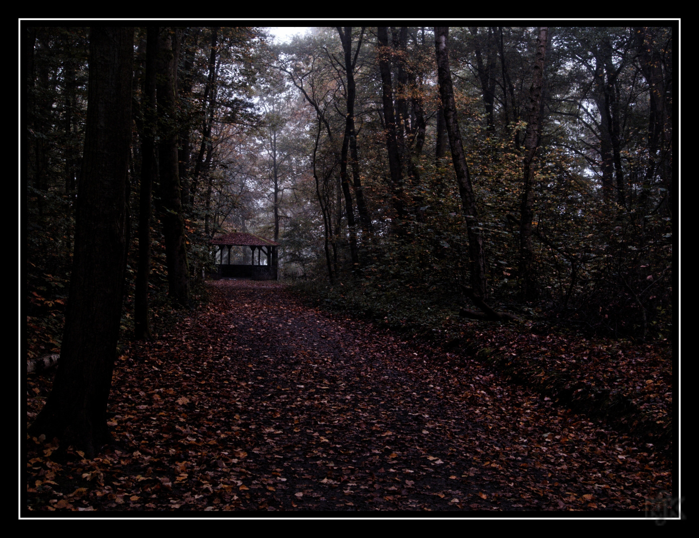 Schafsberg / Limburg