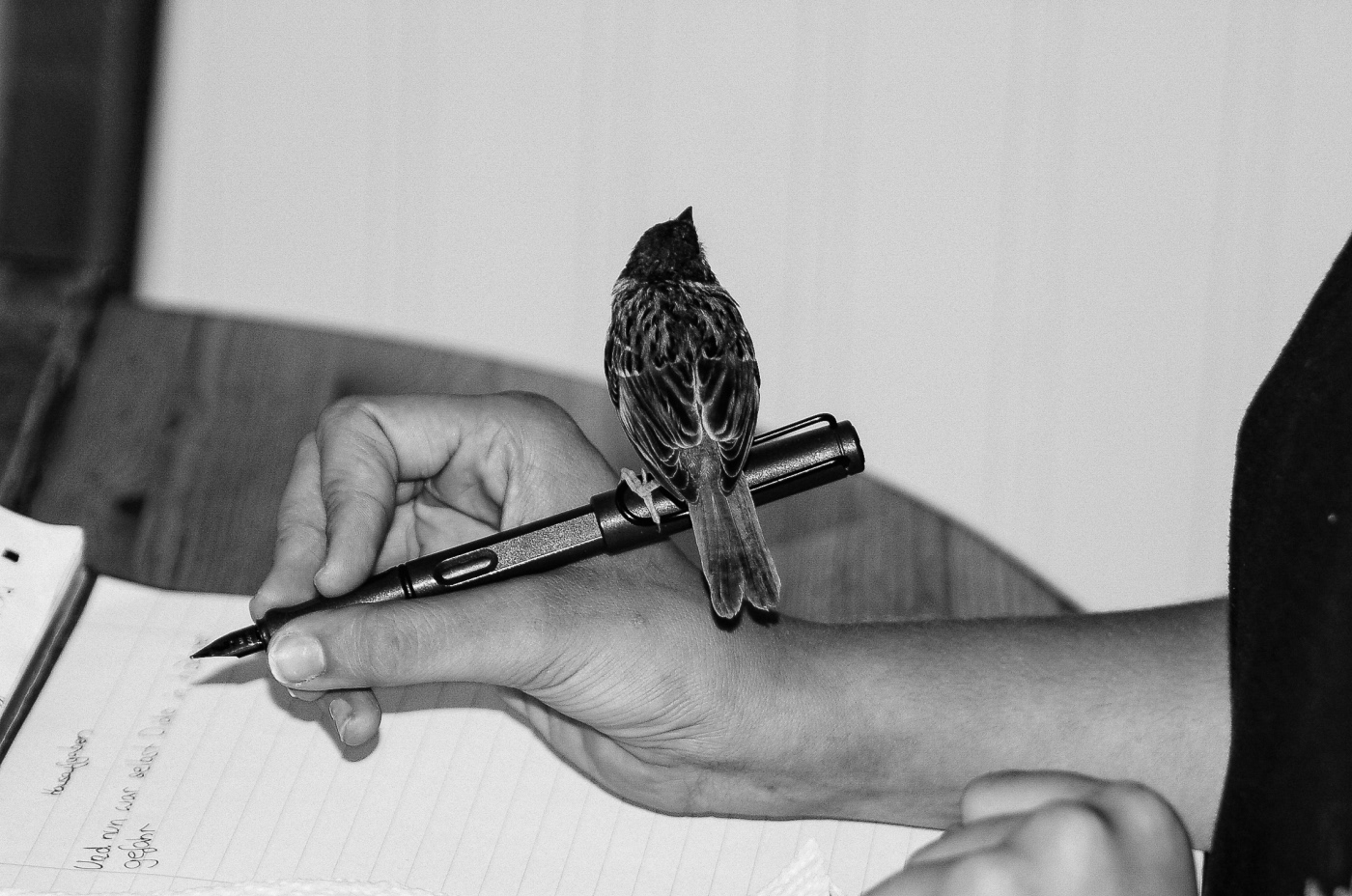 Nikki bei den Hausaufgaben