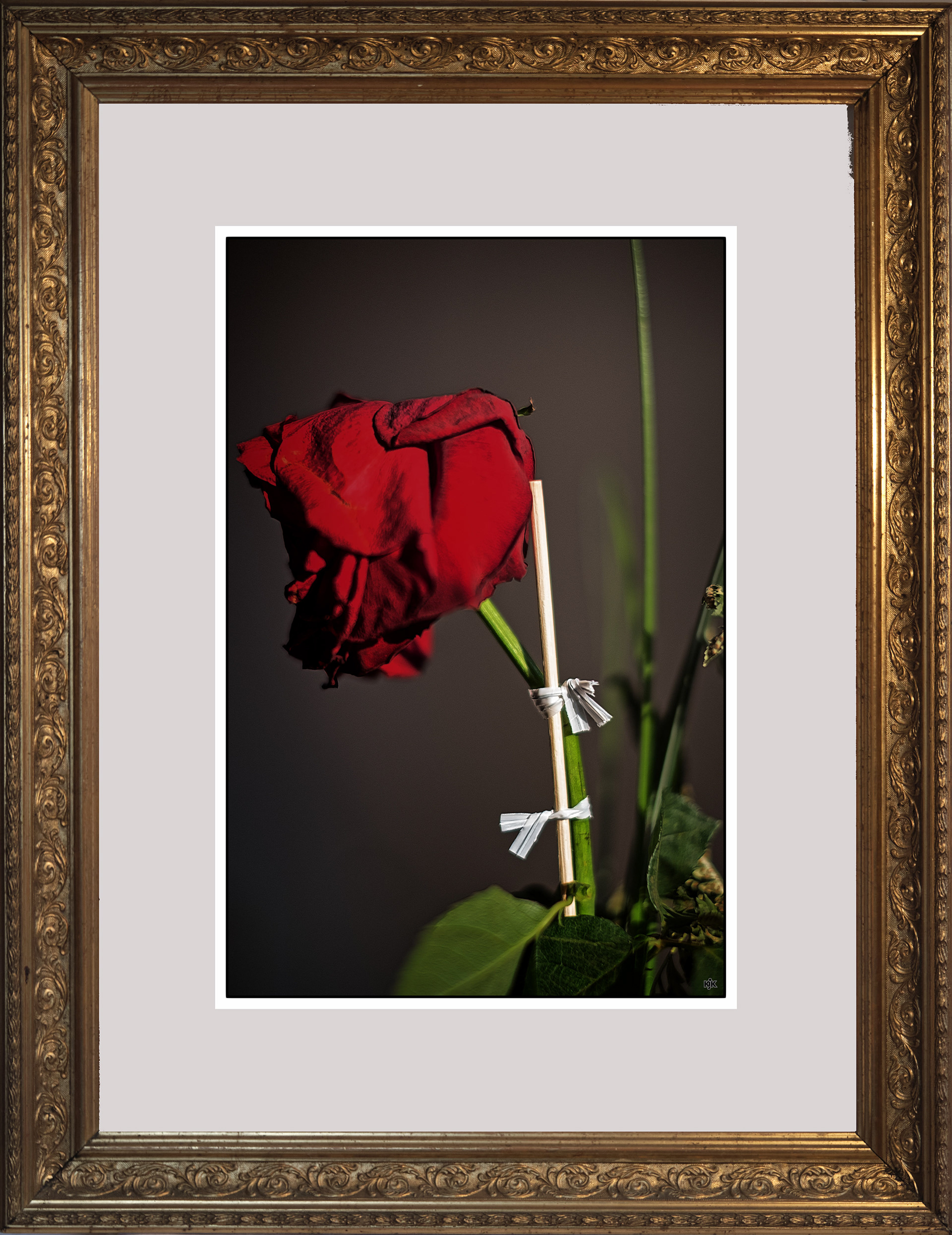 Mein Beitrag zu der Jahresausstellung 2020 - Schönheit in fragilen Zeiten