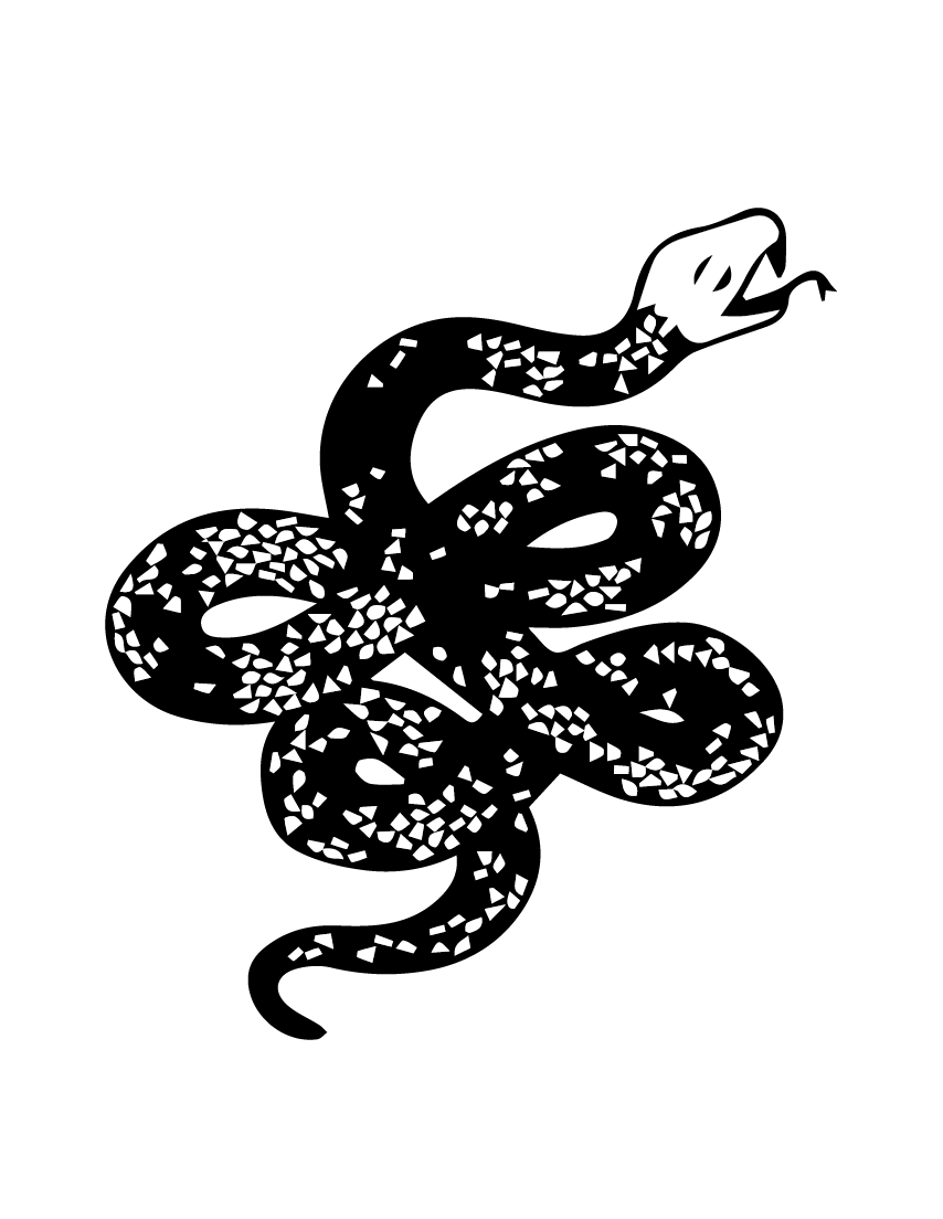 Snake Singular Graphic