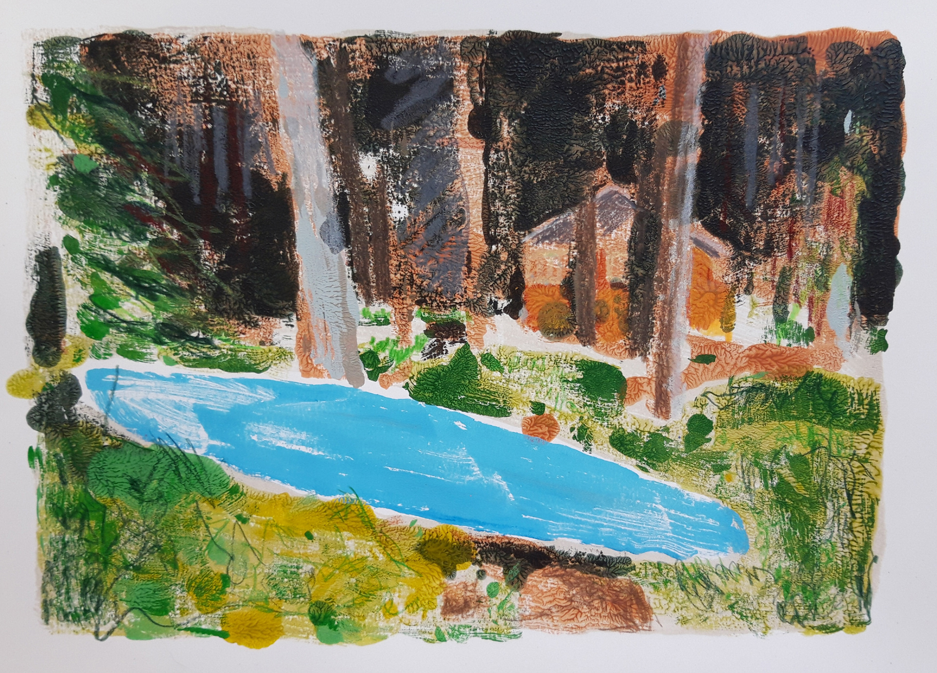 Canada 2 - monoprint - 2020