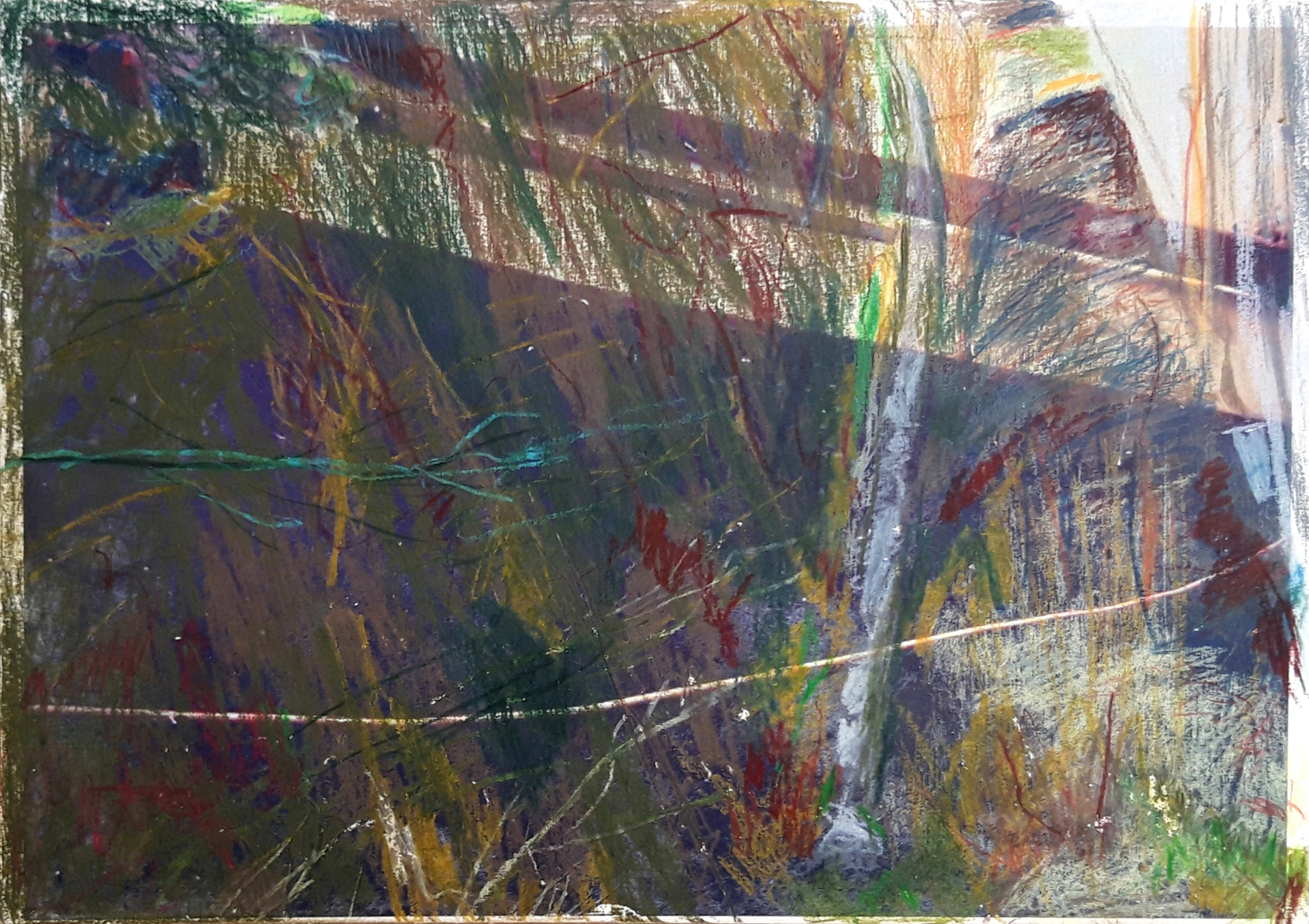 Berm - potlood over fototransfer op hout - 2020