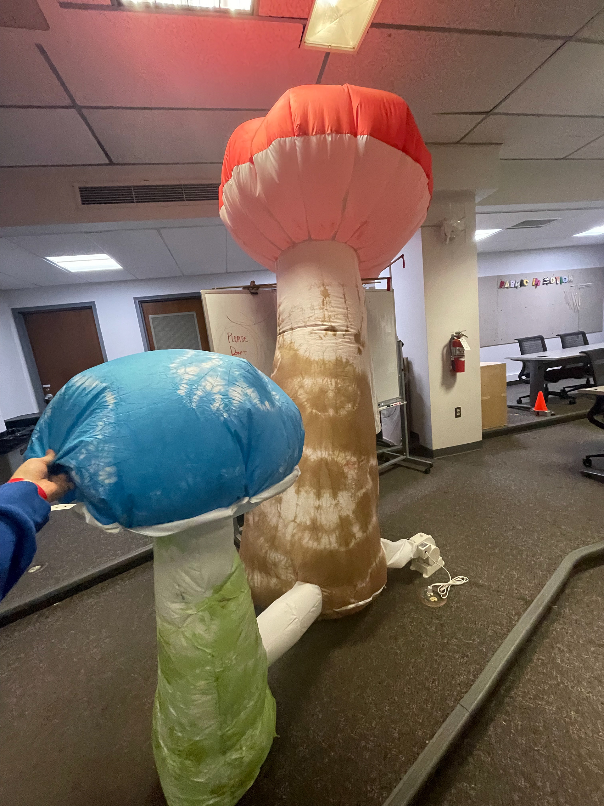 First pair of mushroom