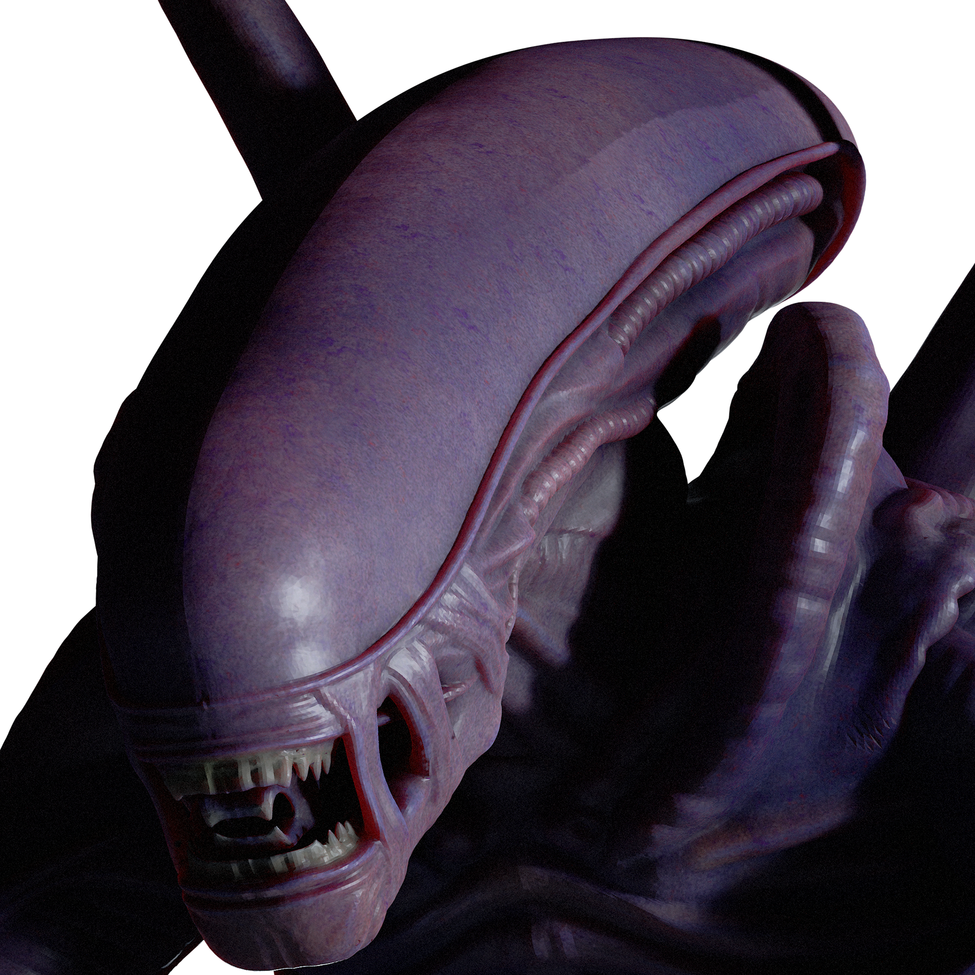 Close up