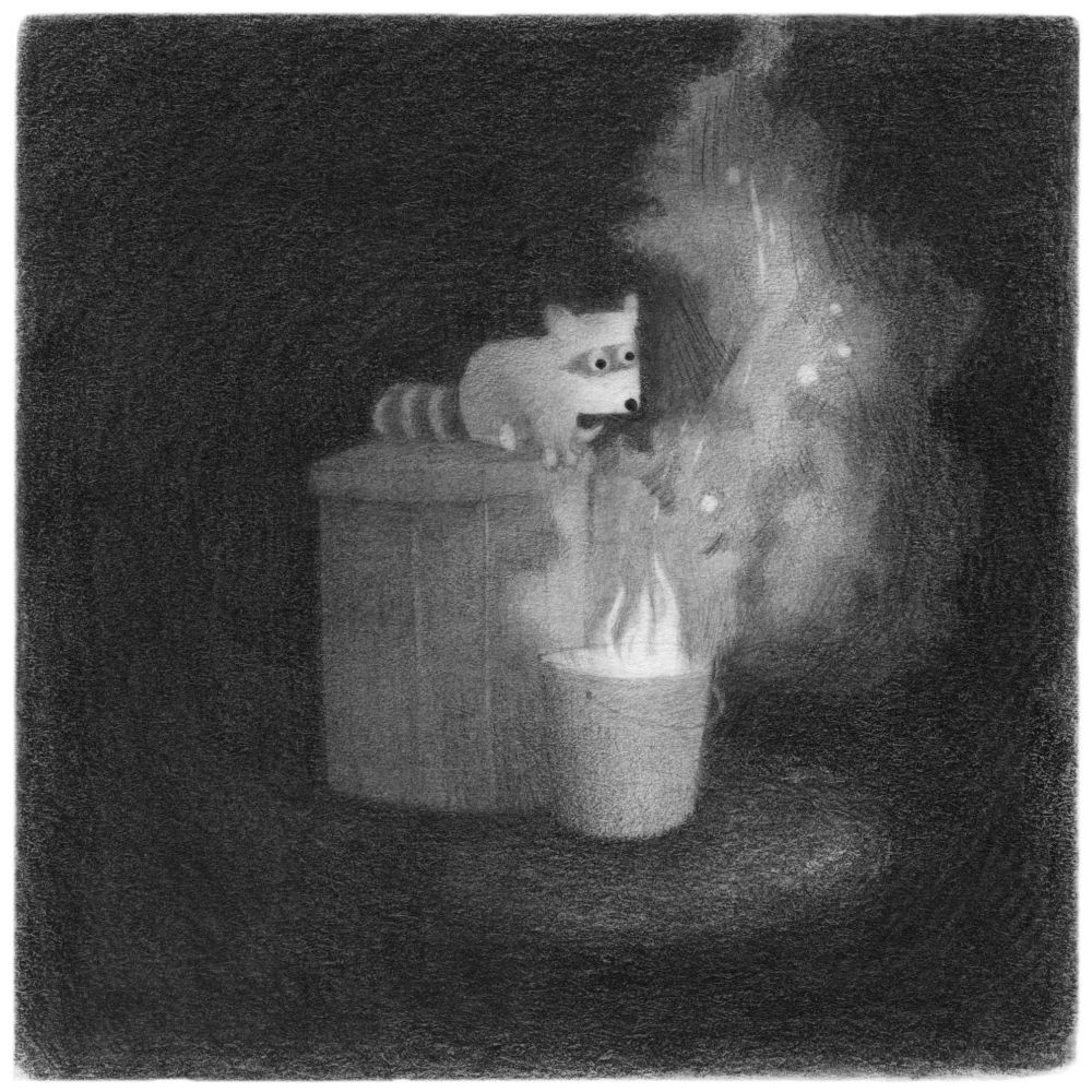 raccoon drawing in graphite powder and pencil