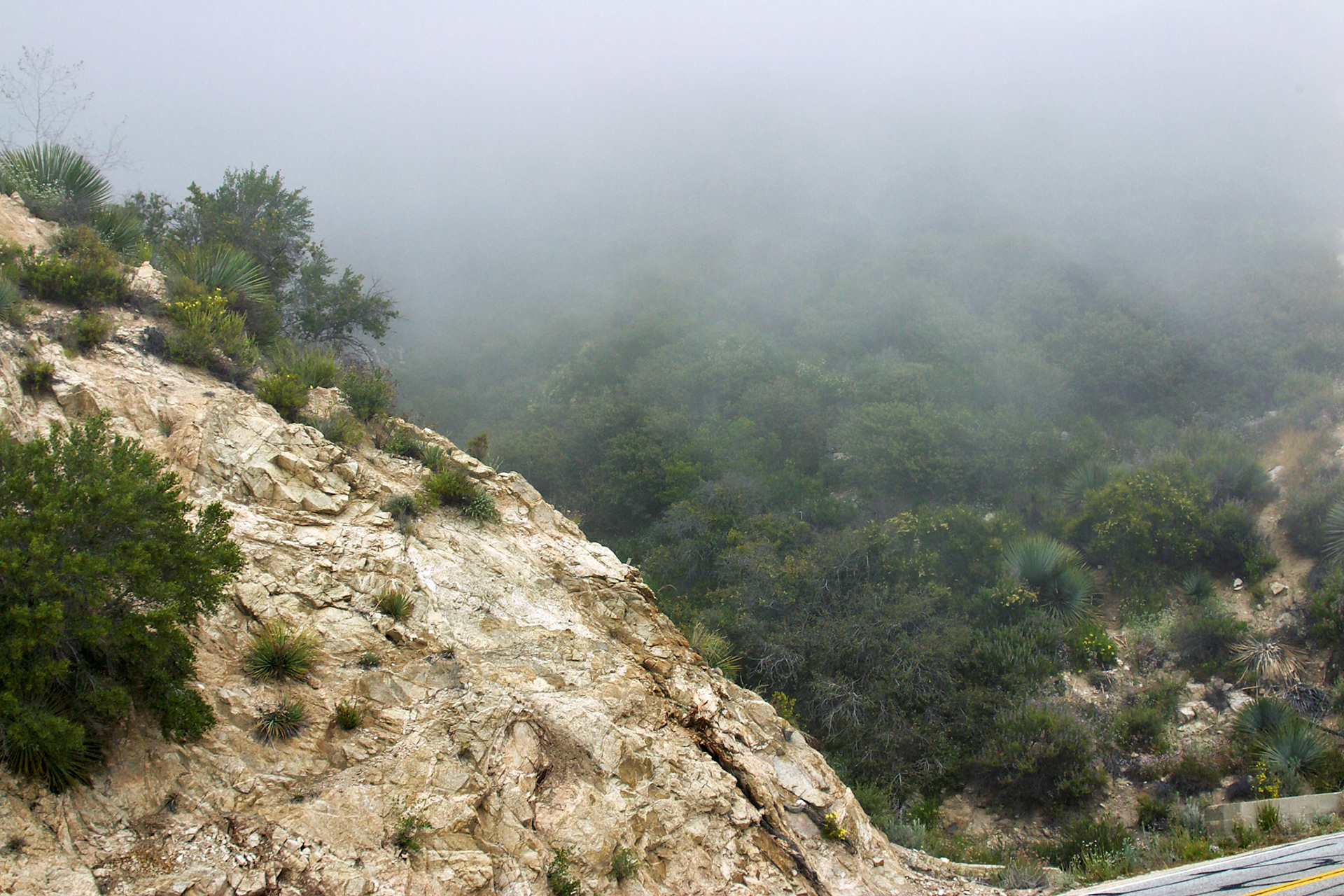 CA_LA_20030514_0029_PS