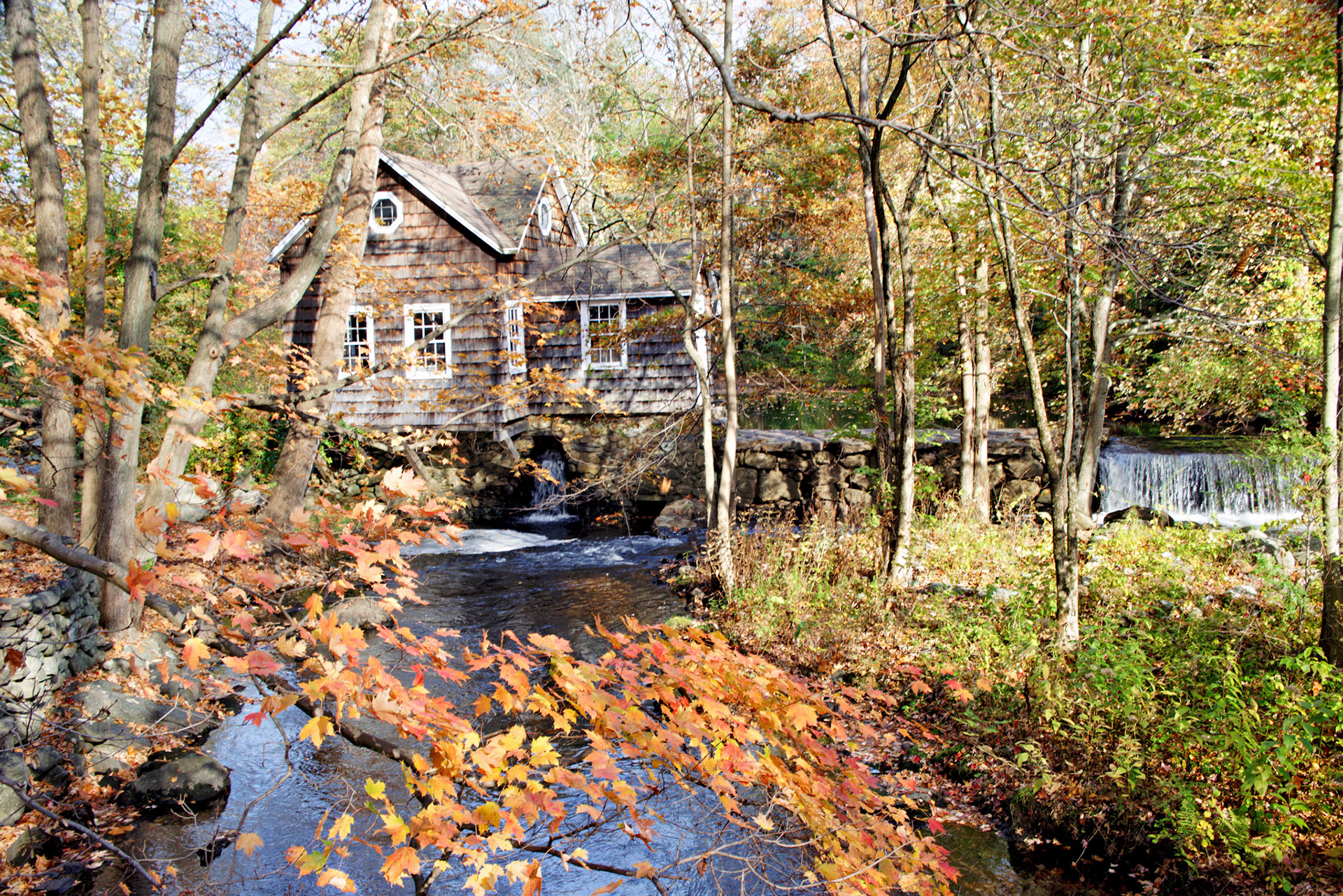 CT_20141020_0493_PS.dng
