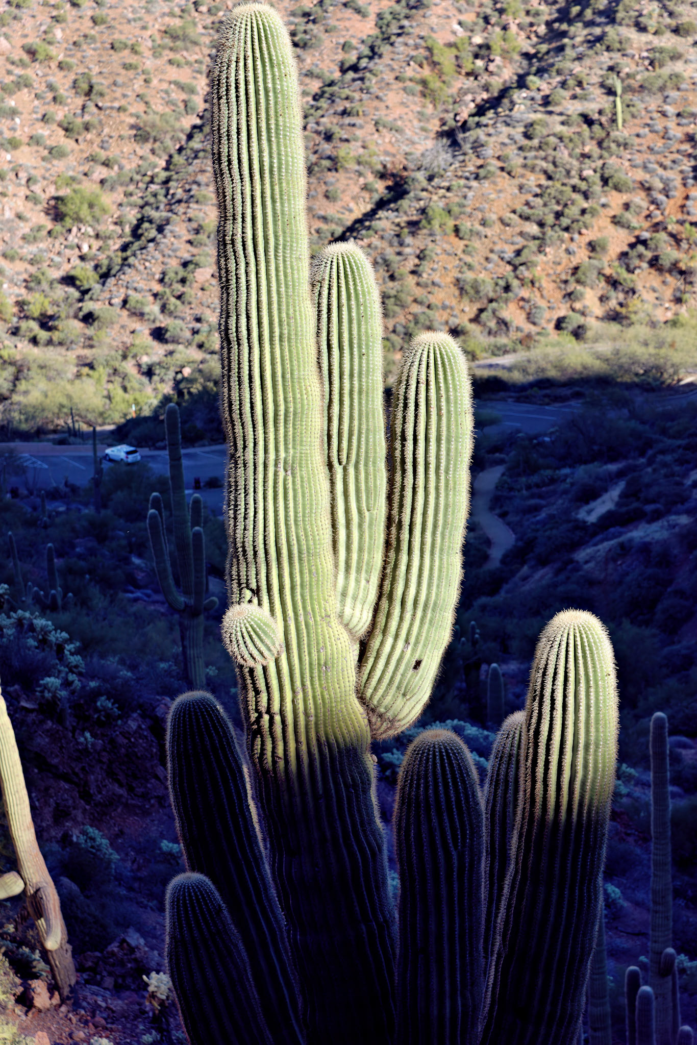 AZ_20121210_0430_PS