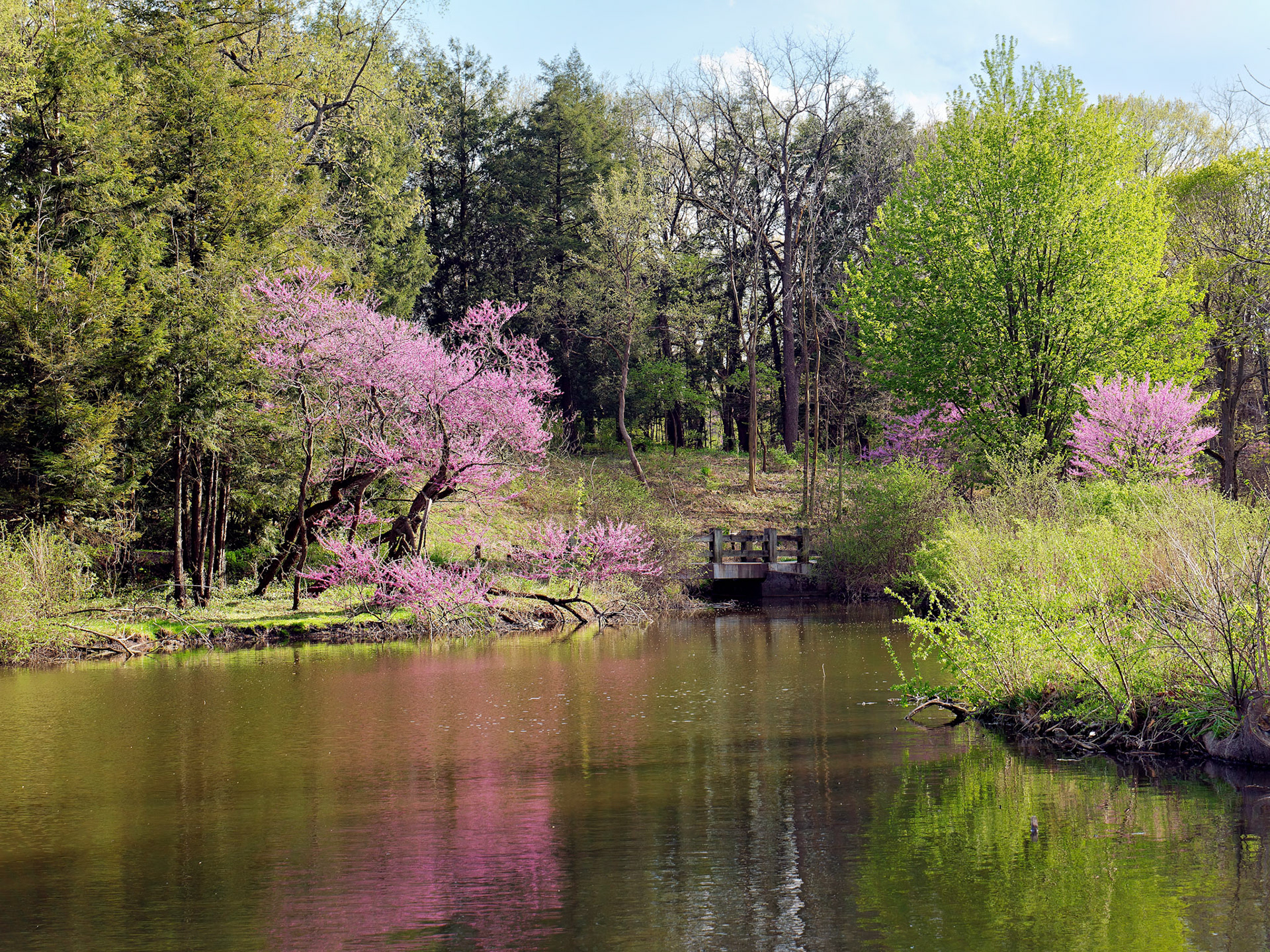 IL_Morton Arboretum_20160425_0760_PS