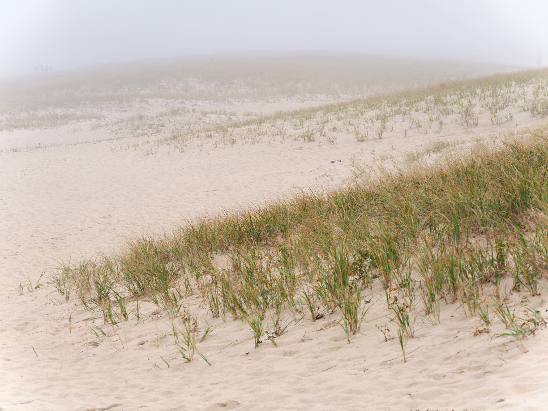 MA_CapeCod_20151029_0324_PS