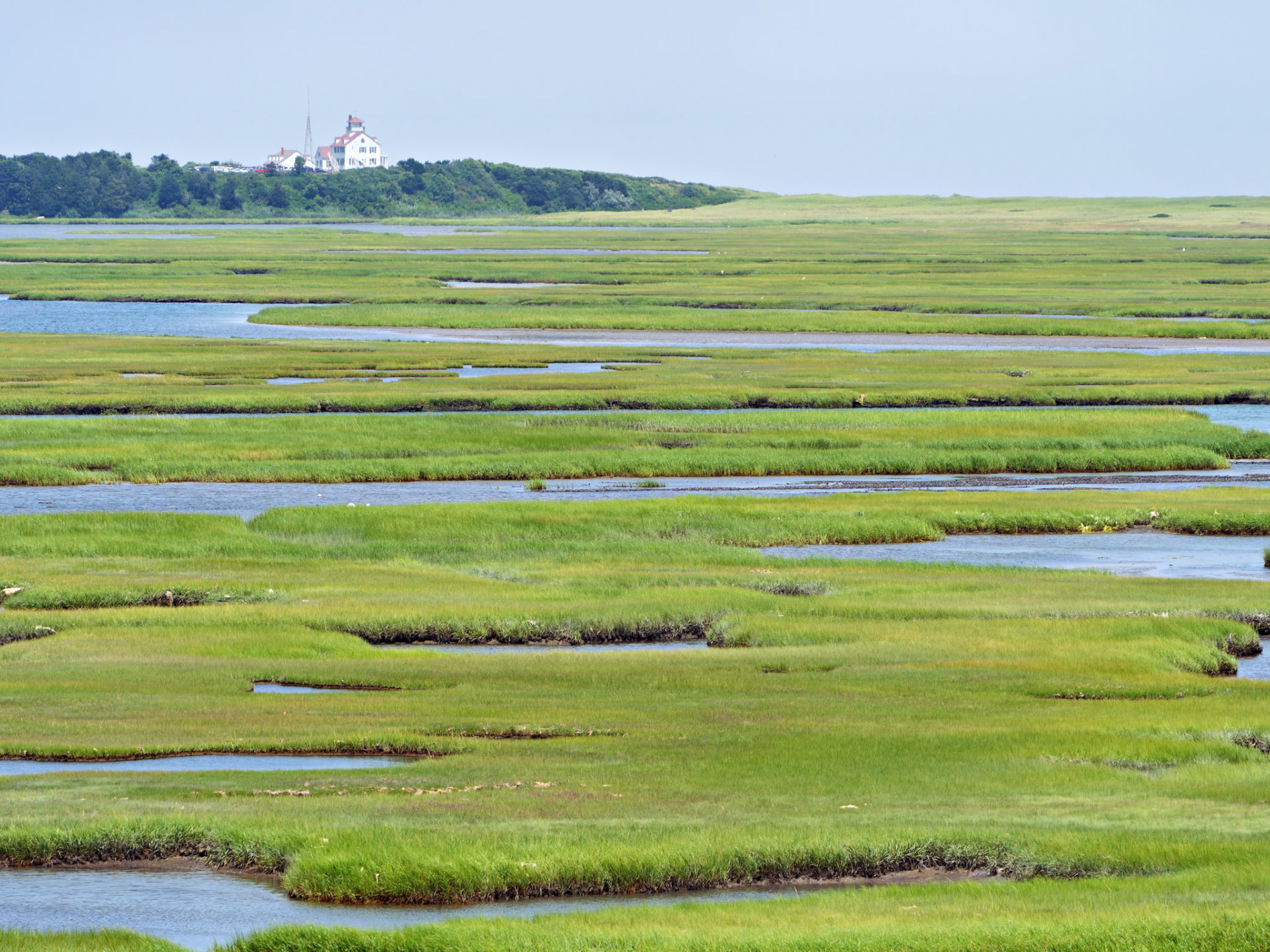 MA_CapeCodNatShore_20180723_0023_PS