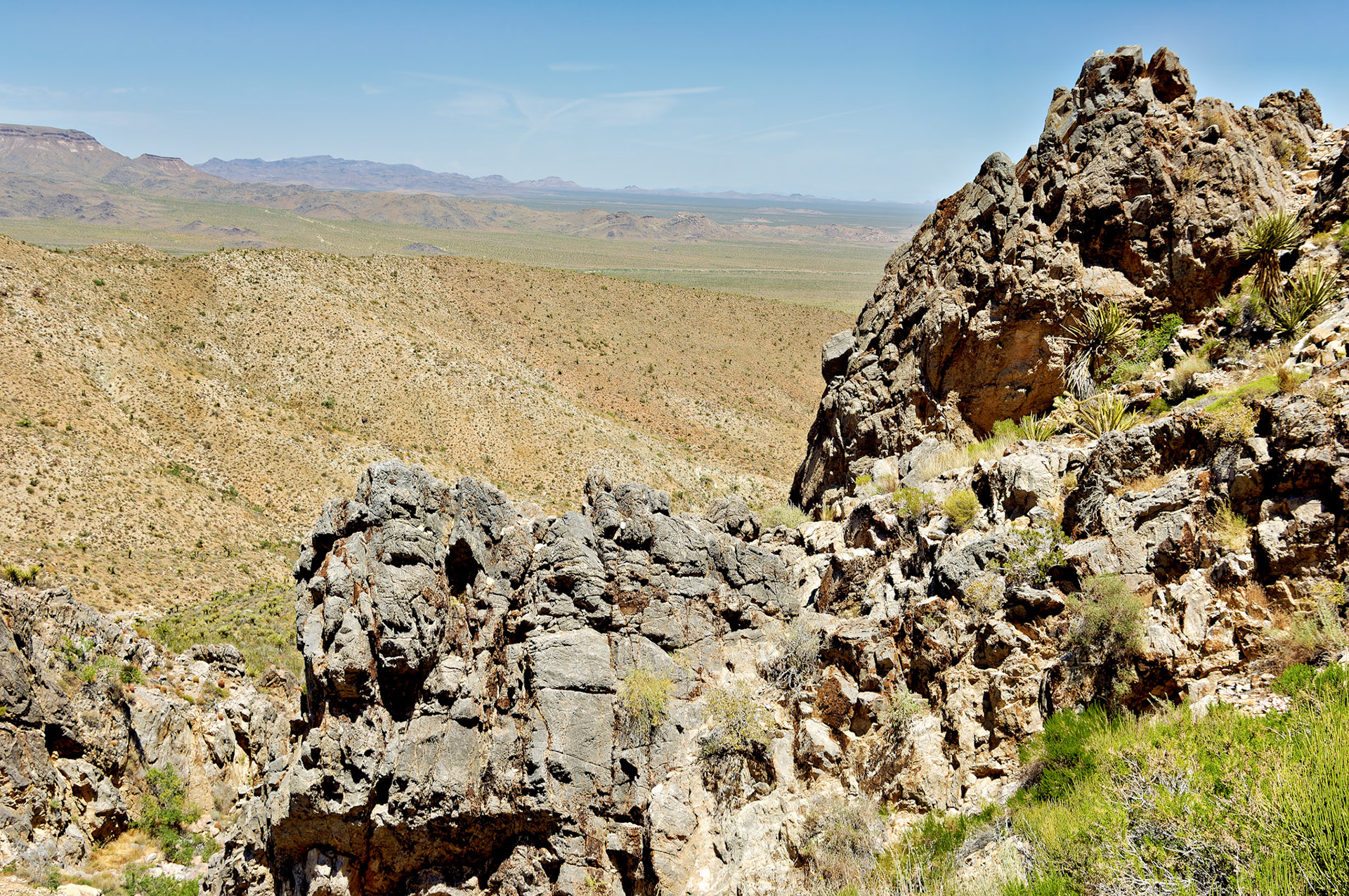 CA_20050614_0088_PS.dng