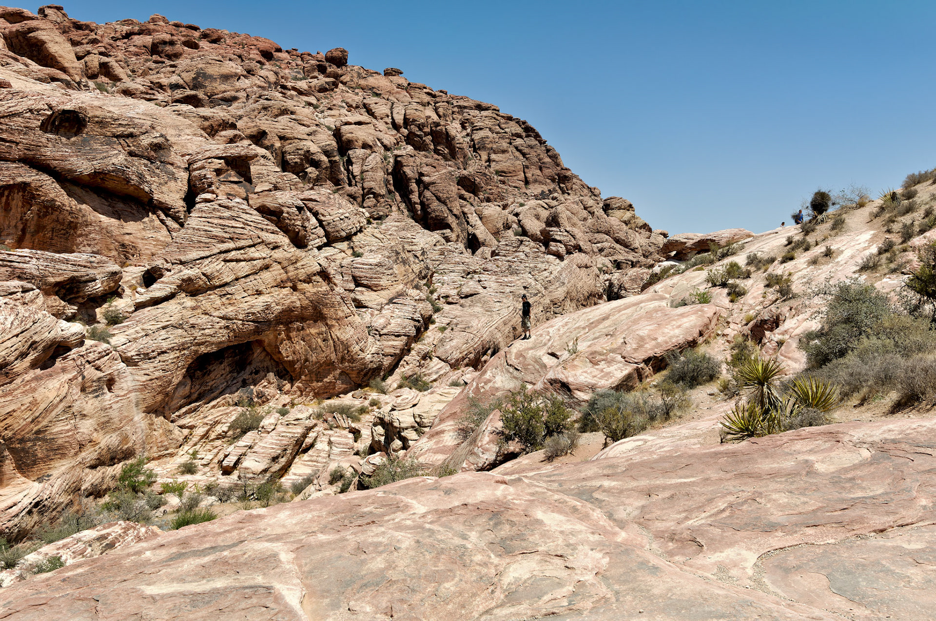 NV_20070531_0128_PS.tif