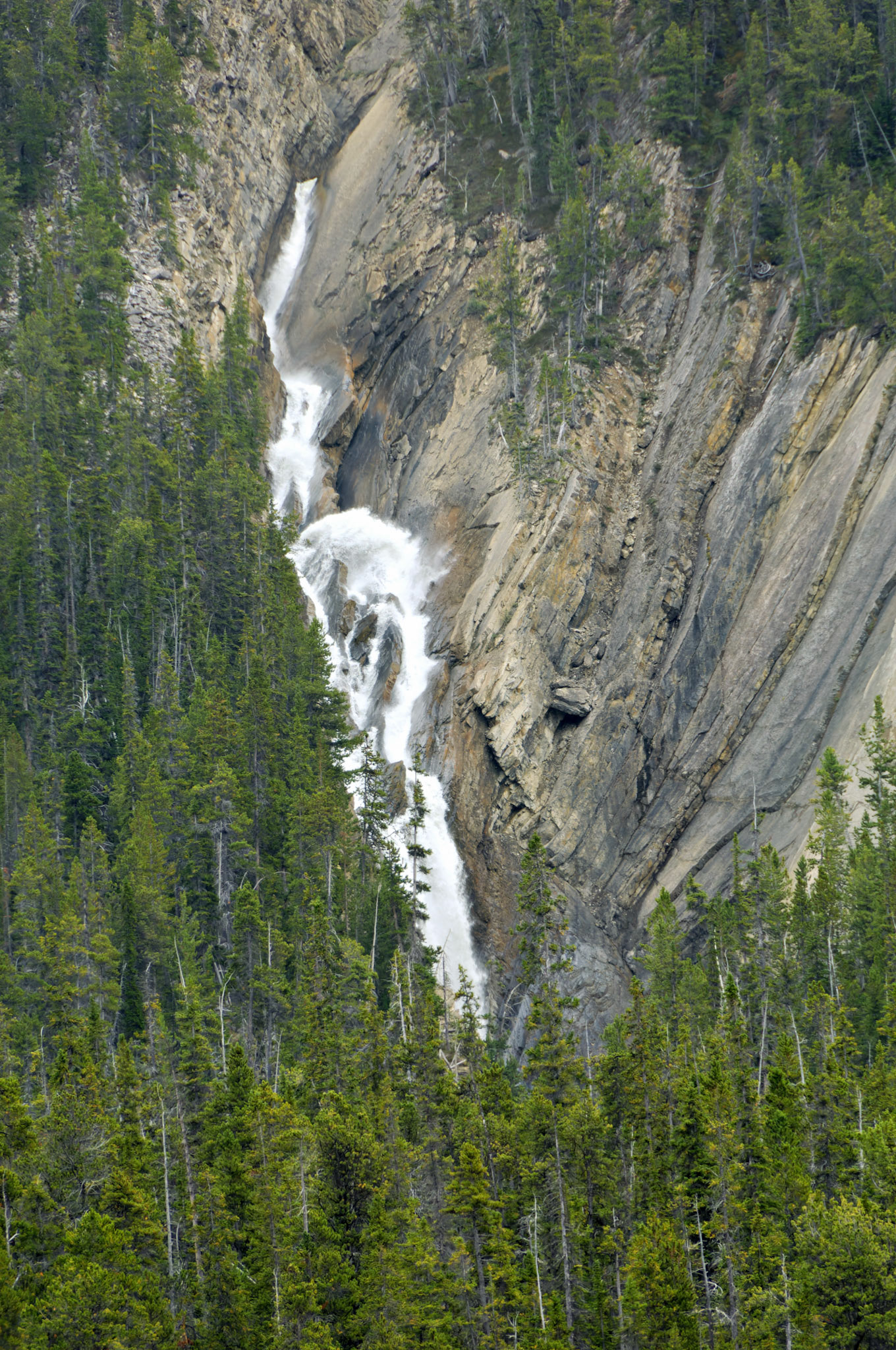 CN_20060802_0196_PS