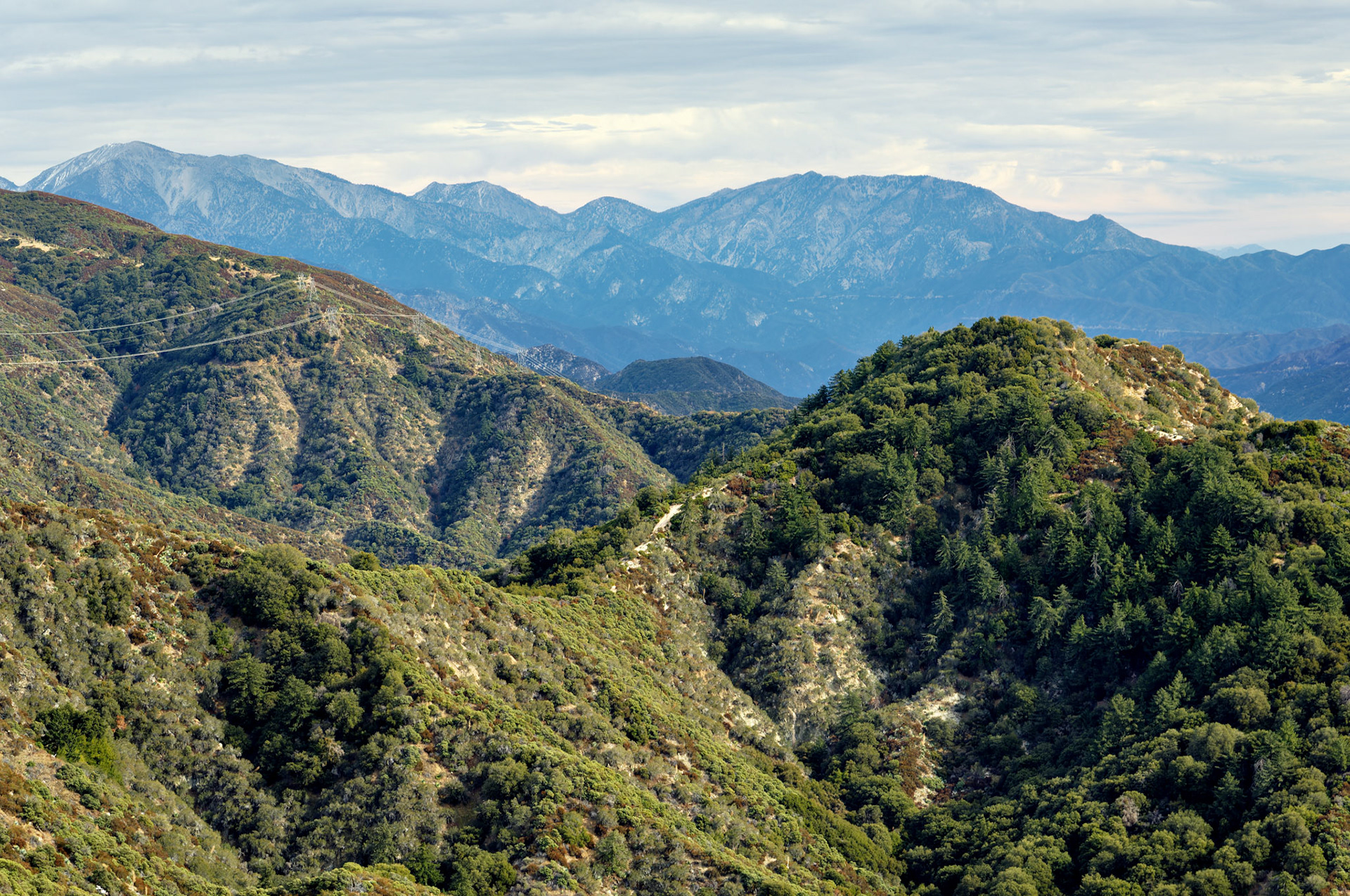CA_LA_20051220_0279_PS.dng