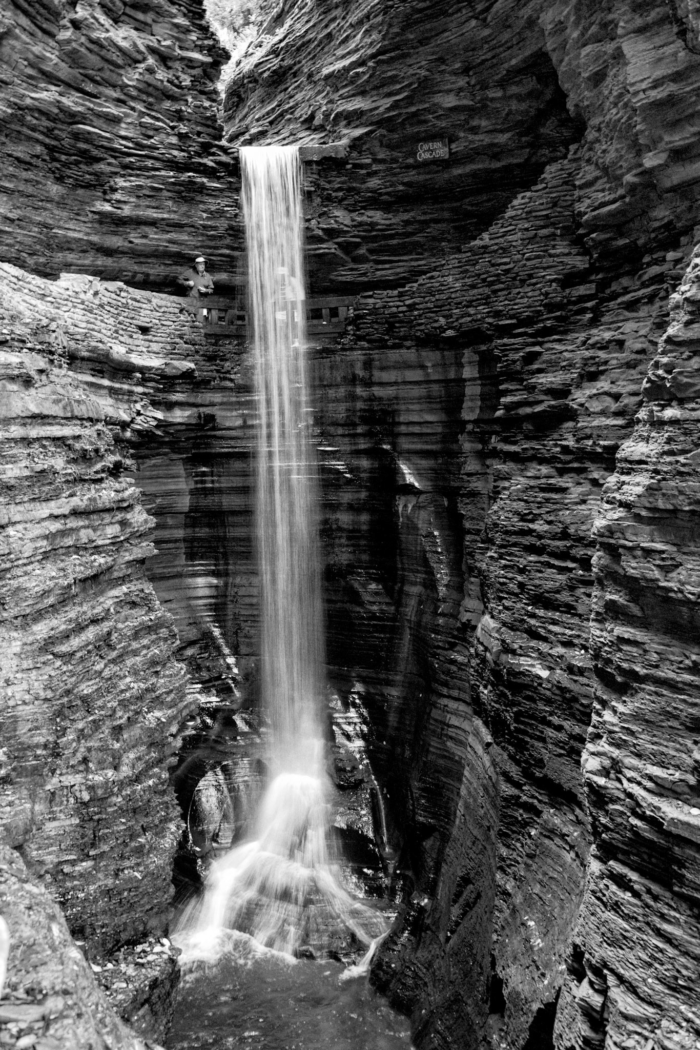 Black &amp; White 00190