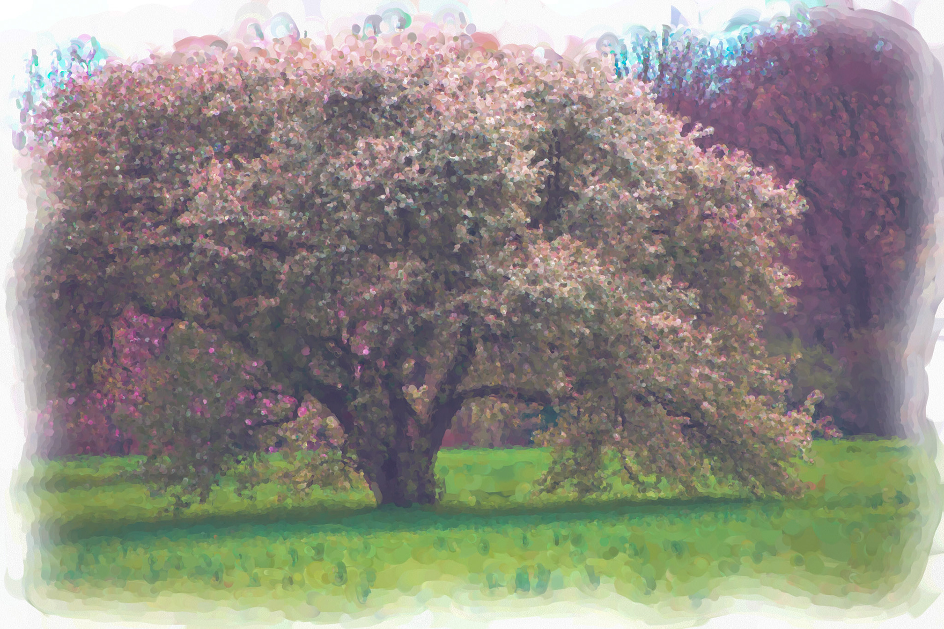 Painting__DSC2161_DWC