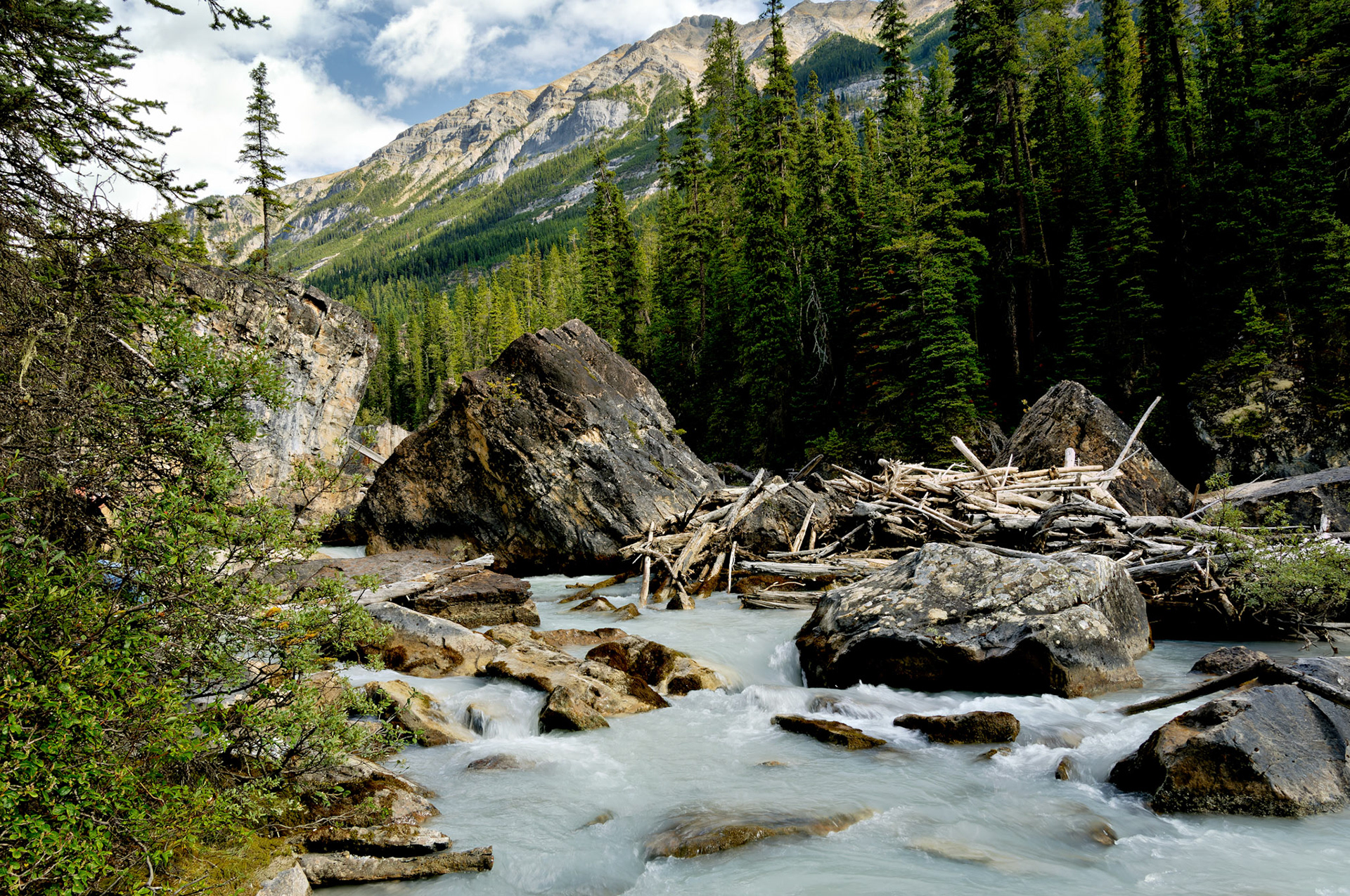 CN_20060803_0306_PS