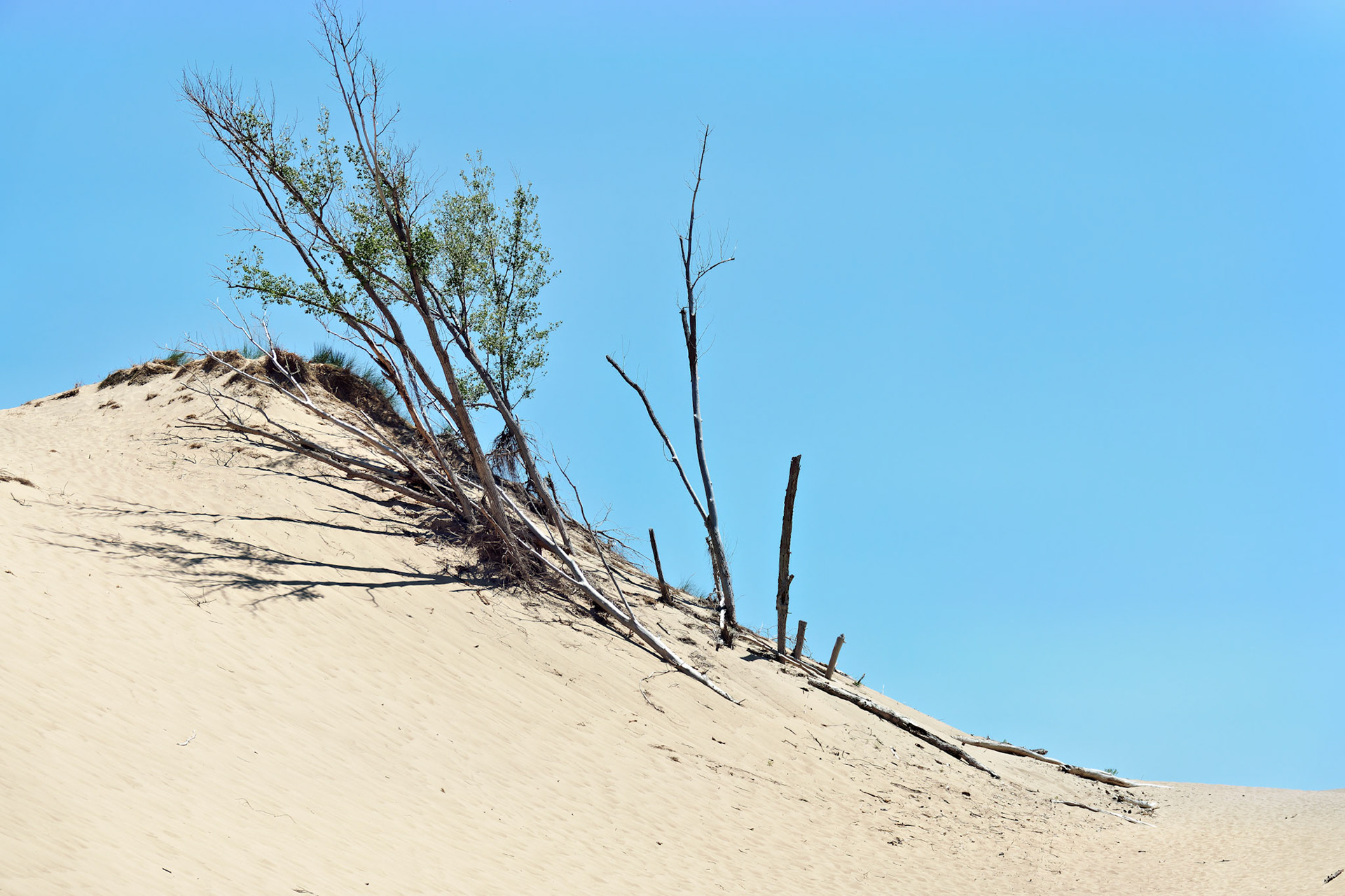 MI_New BuffaloArea_20160808_0138_PS