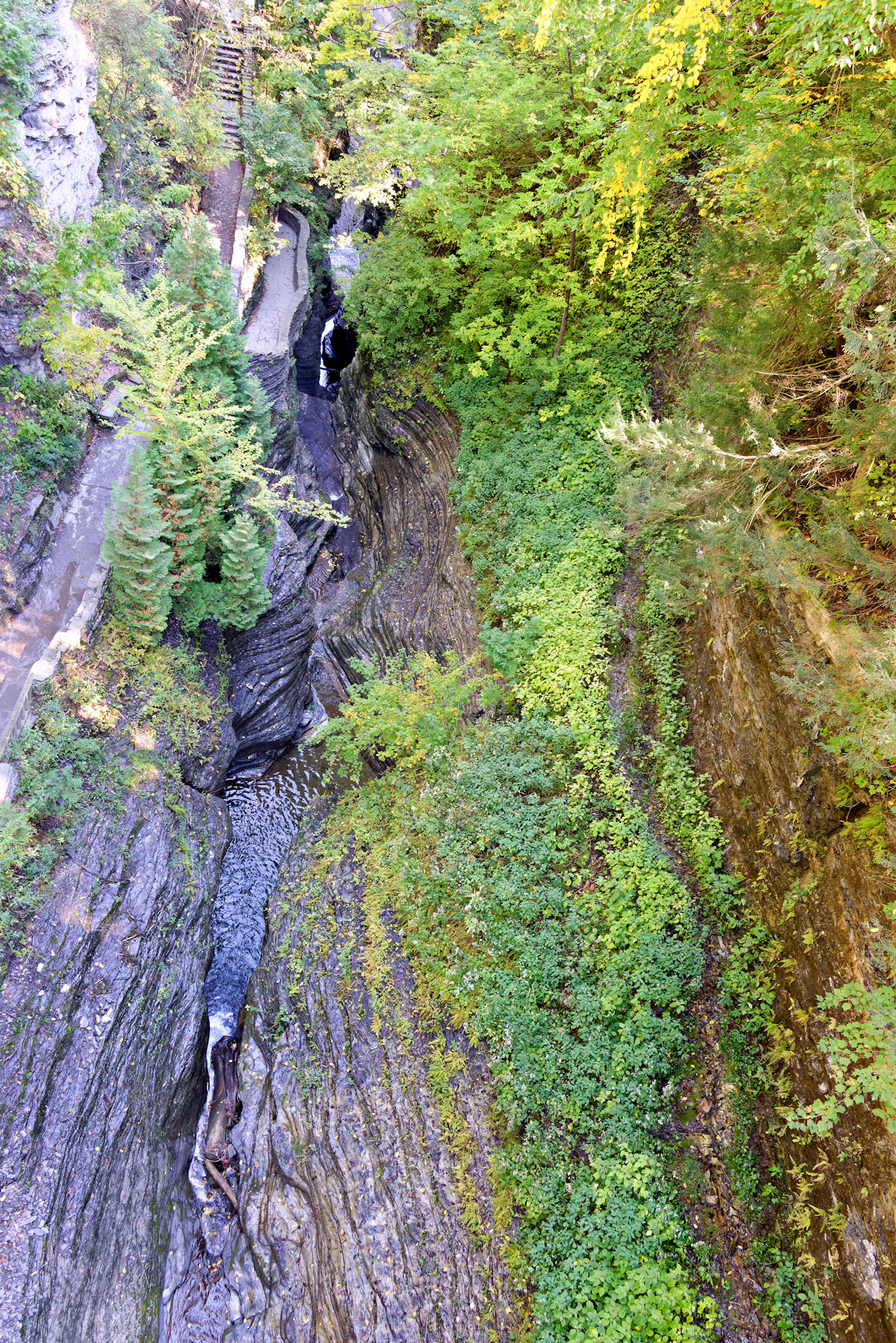 NY_FingerLakes_20120927_0231_PS
