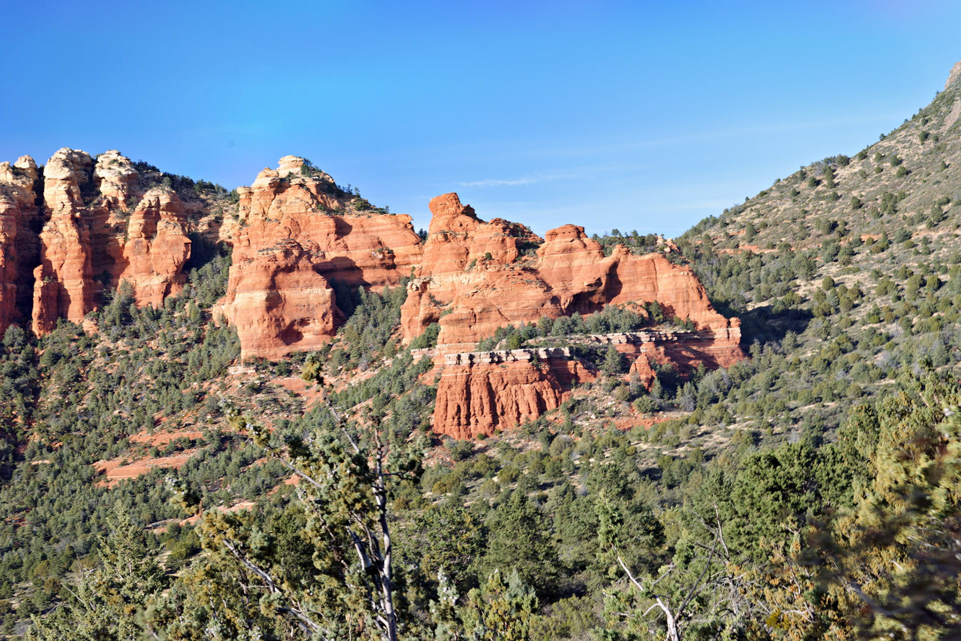 AZ_20121211_0576_PS.dng