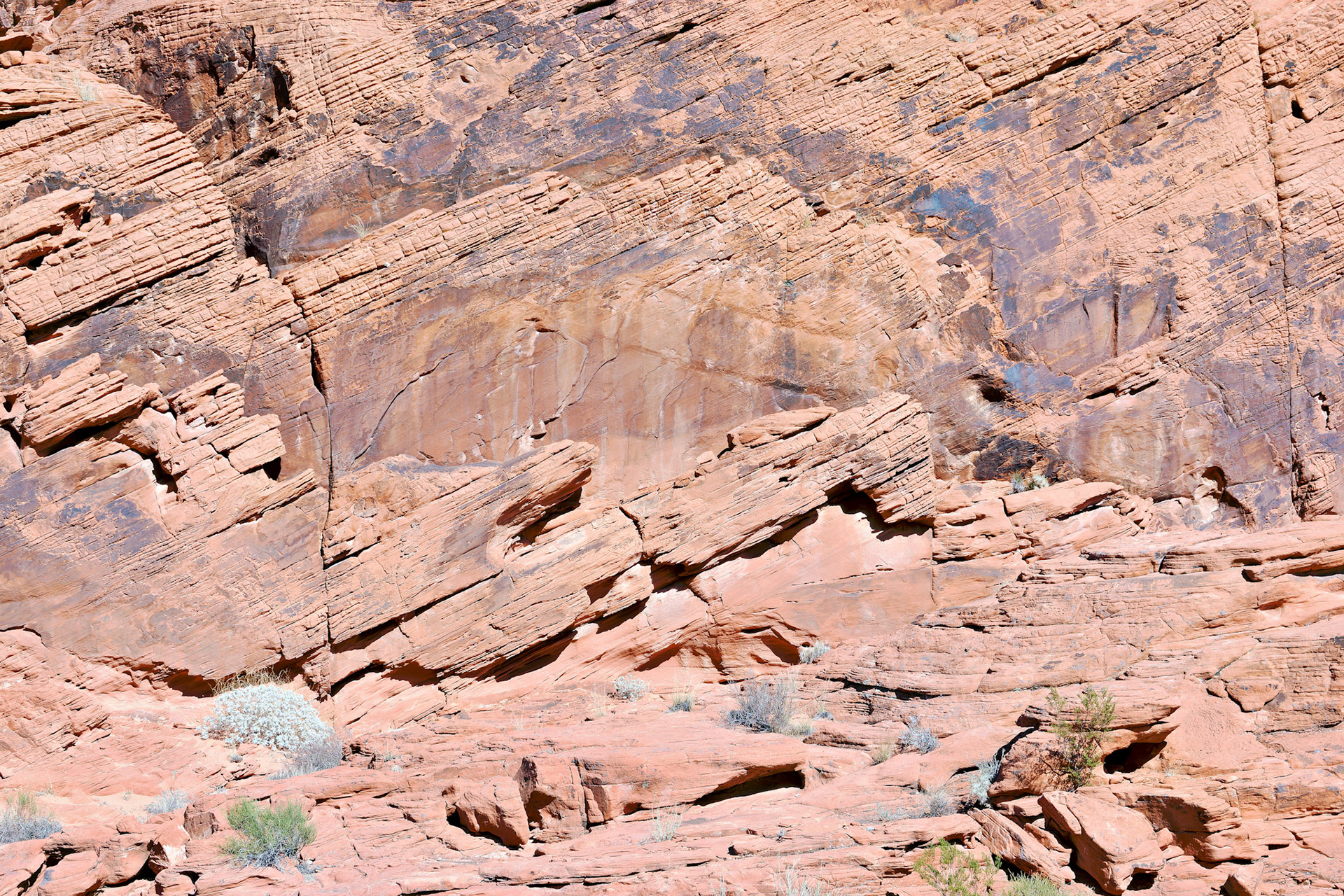 NV_Deserts_20120313_0122_PS